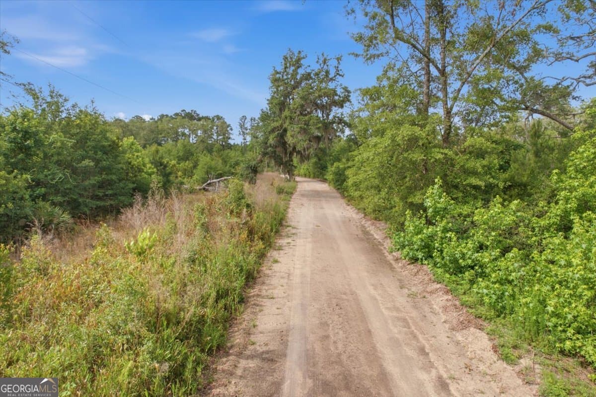 agriculture for sale at 1679 Brighton Road, Darien, GA 31305 — photo 4