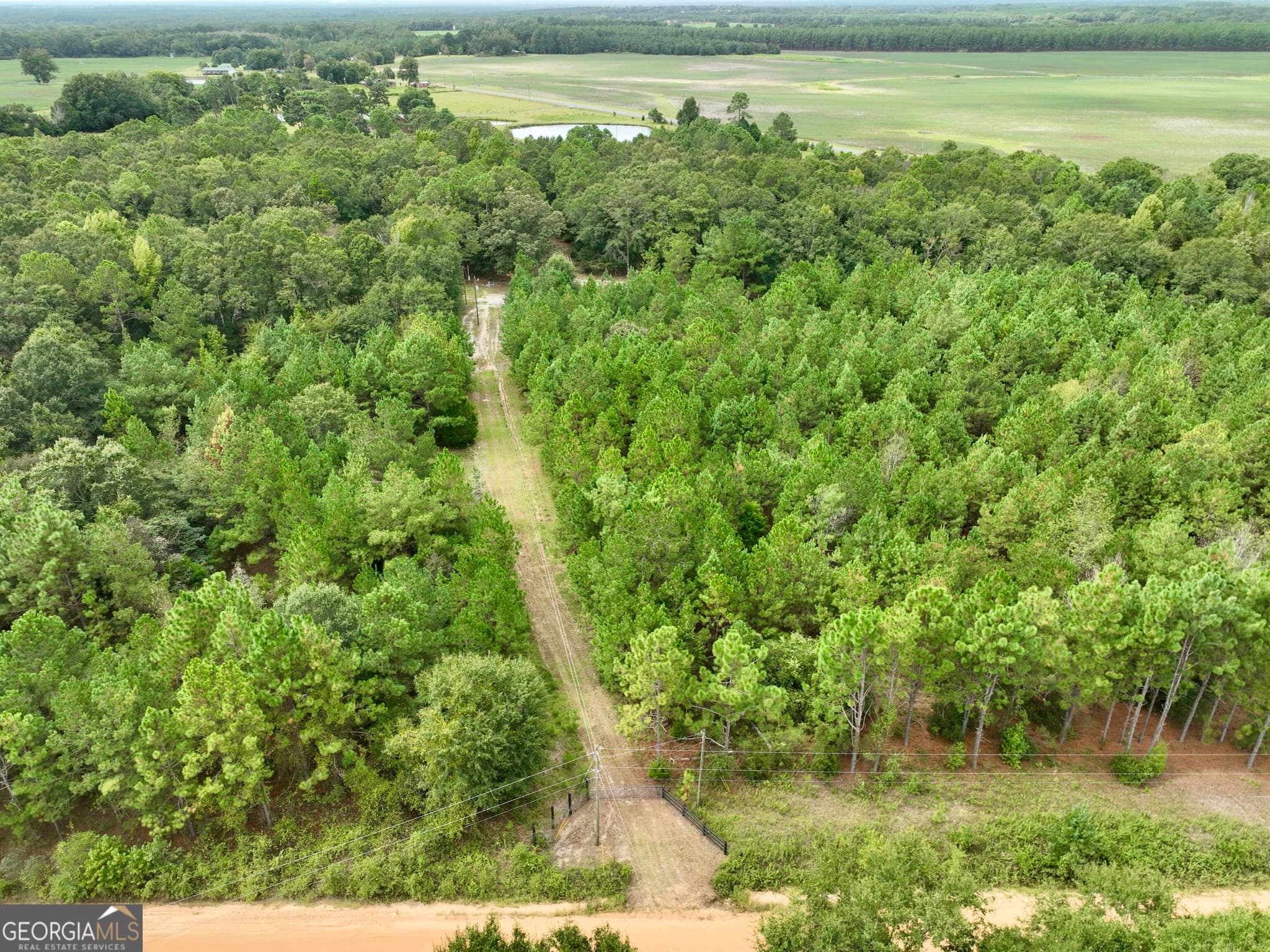 agriculture under contract at 79 Stewart Road, Eastman, GA 31023 — photo 2