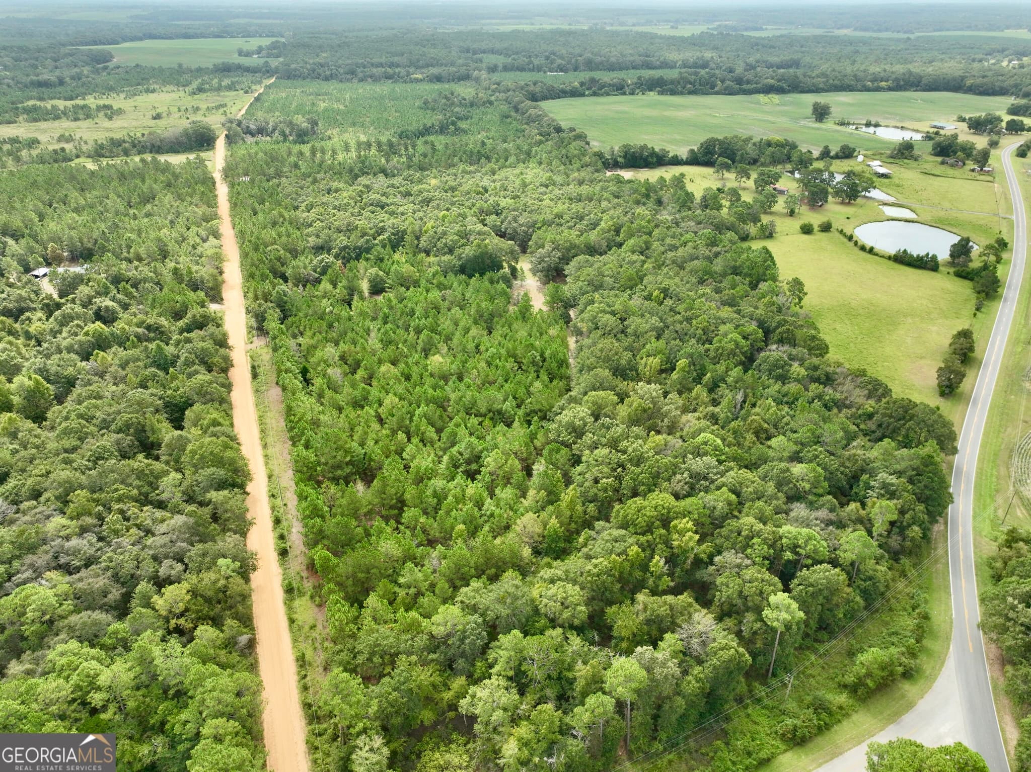 agriculture under contract at 79 Stewart Road, Eastman, GA 31023 — photo 7