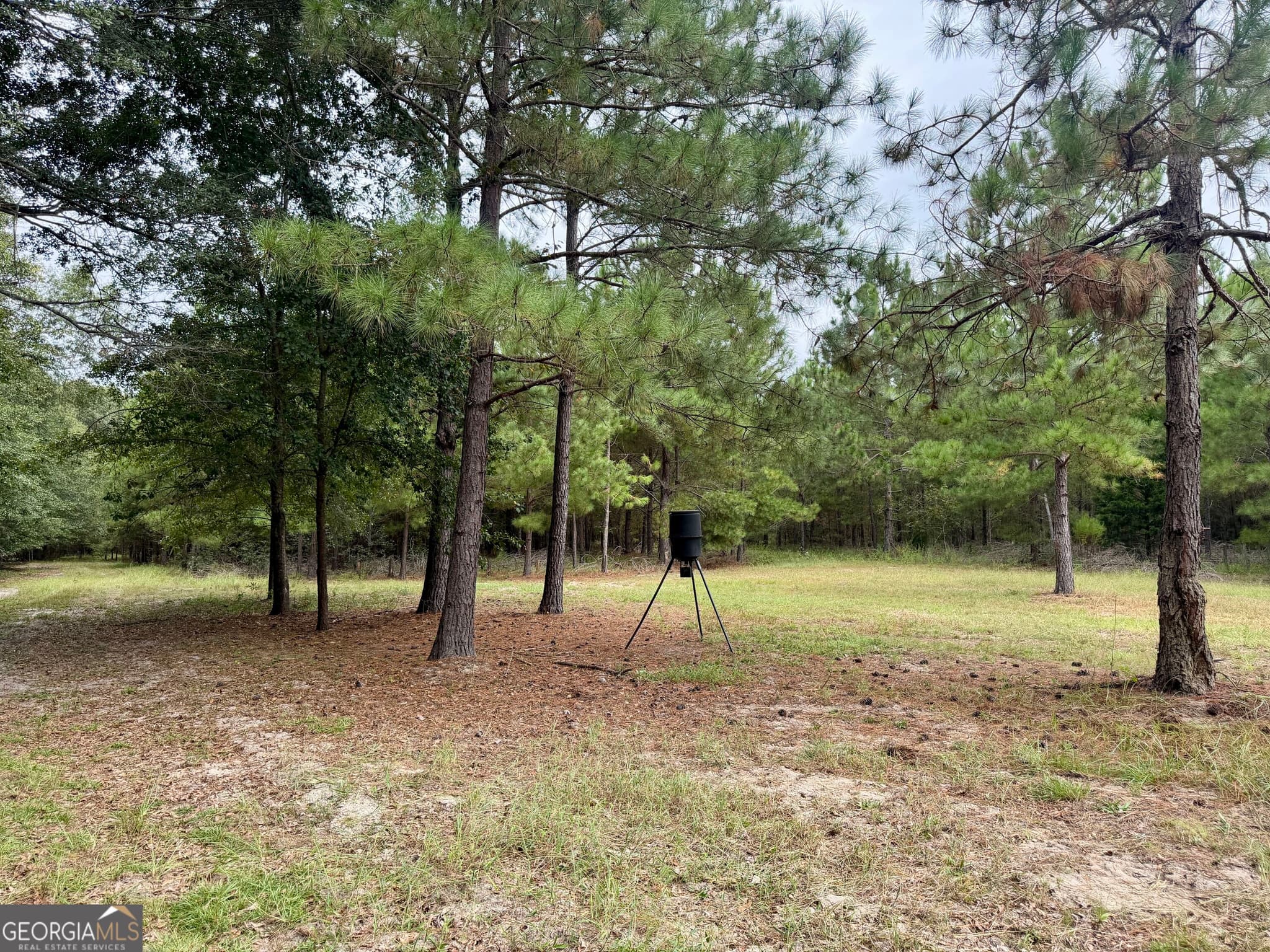 agriculture under contract at 79 Stewart Road, Eastman, GA 31023 — photo 3