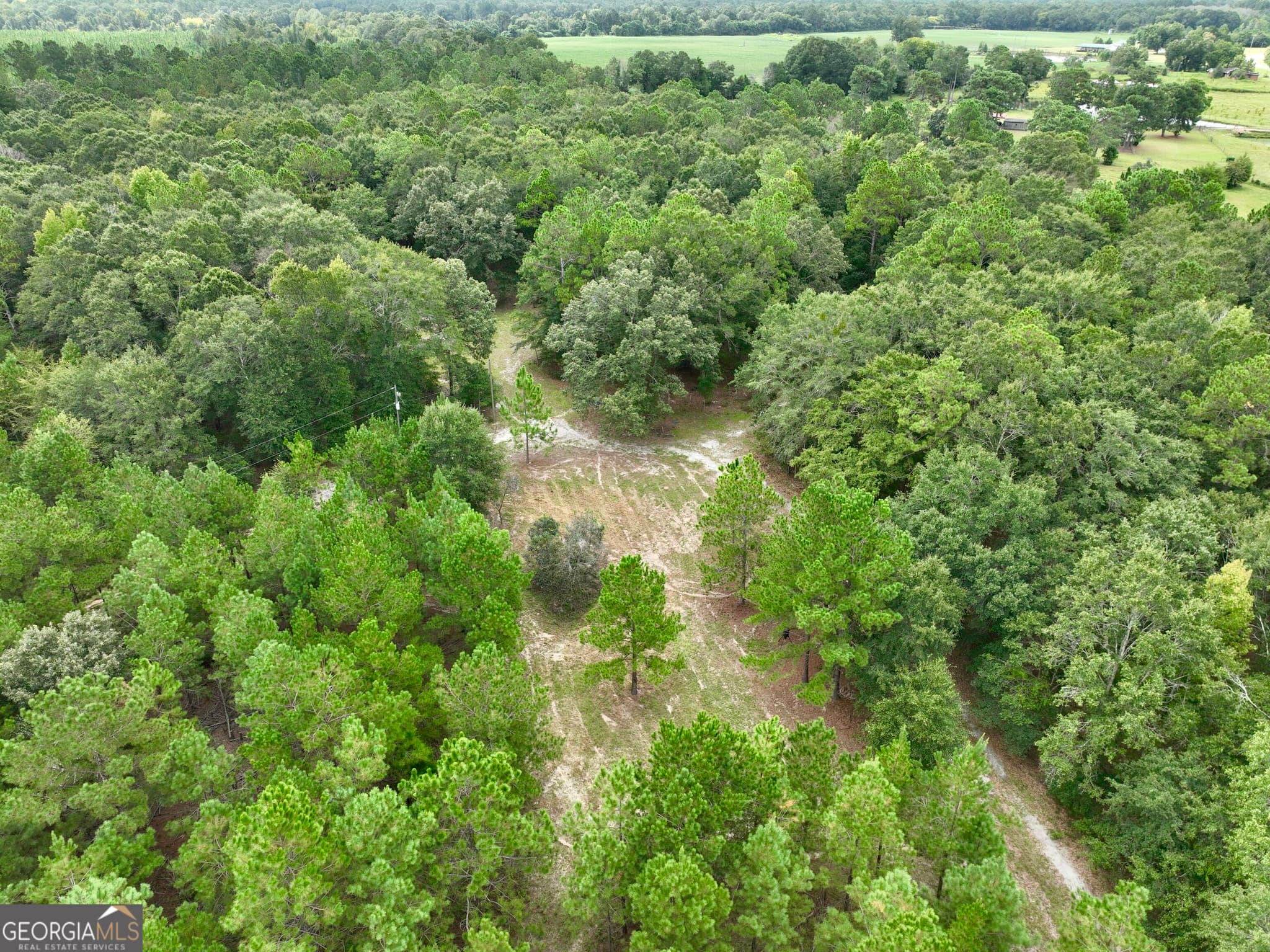 agriculture under contract at 79 Stewart Road, Eastman, GA 31023 — photo 5