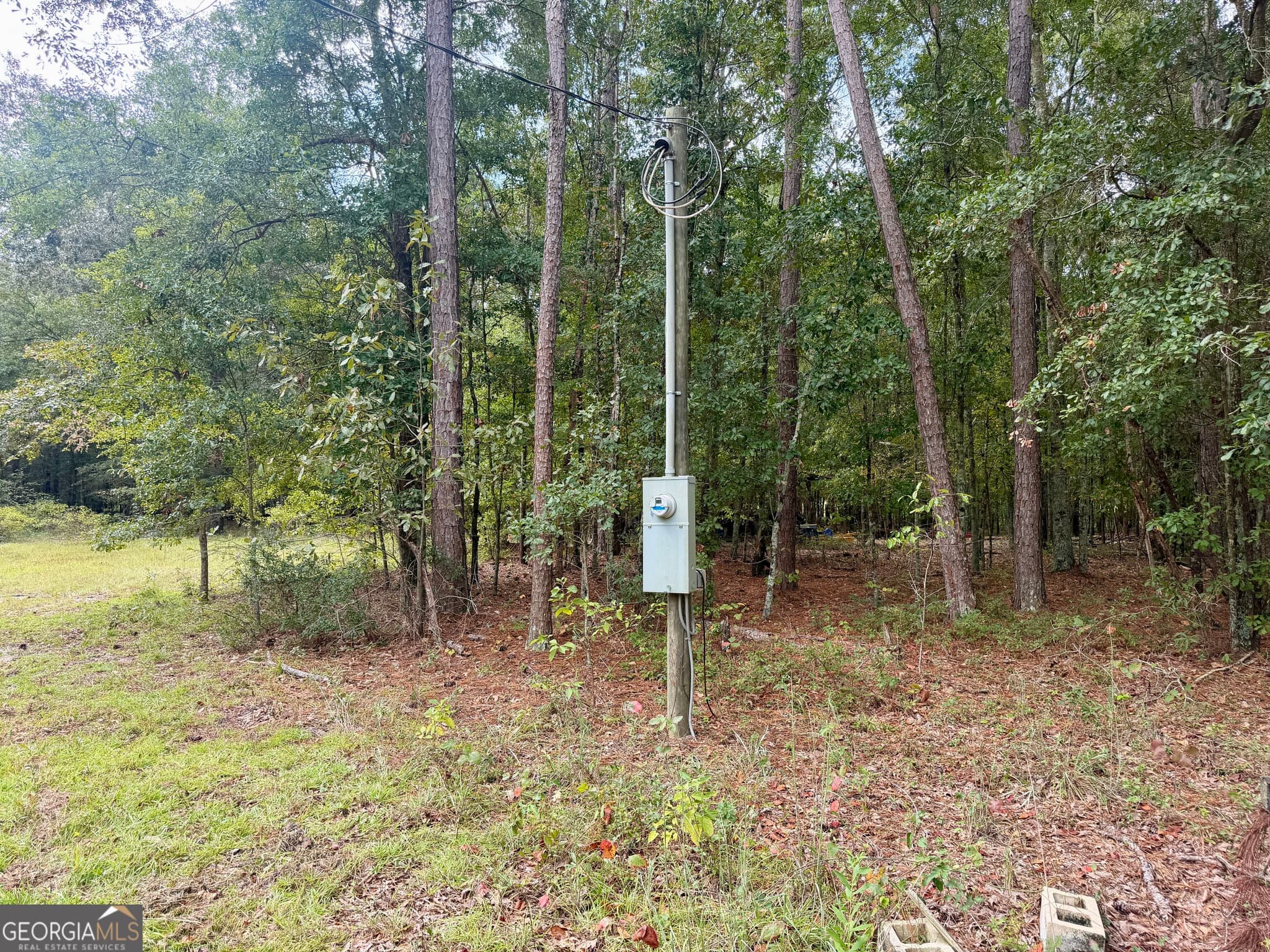 agriculture under contract at 79 Stewart Road, Eastman, GA 31023 — photo 10