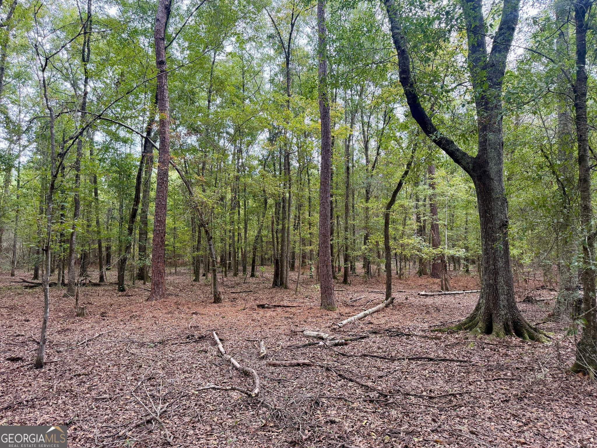 agriculture under contract at 79 Stewart Road, Eastman, GA 31023 — photo 4