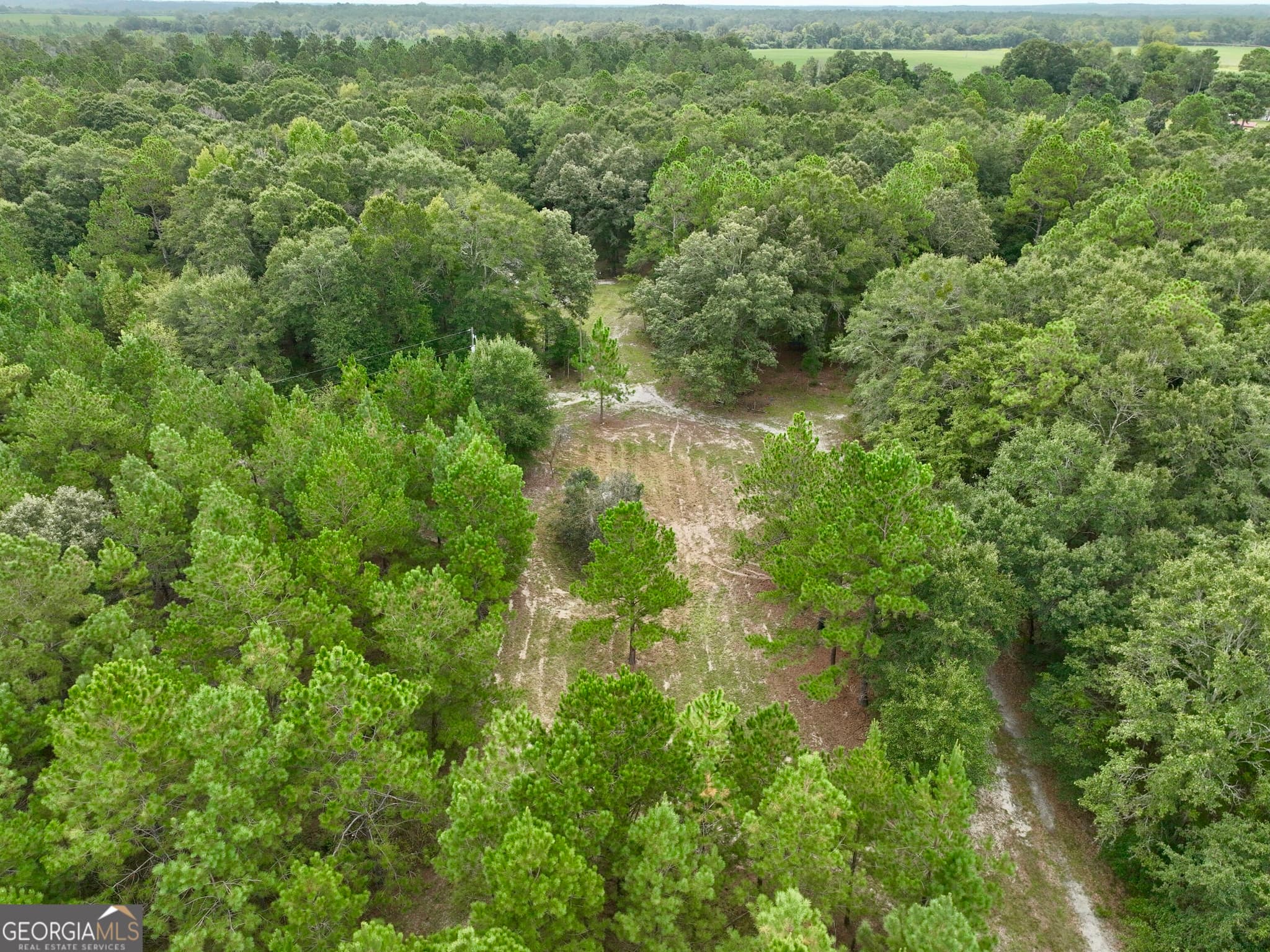 agriculture under contract at 79 Stewart Road, Eastman, GA 31023 — photo 8