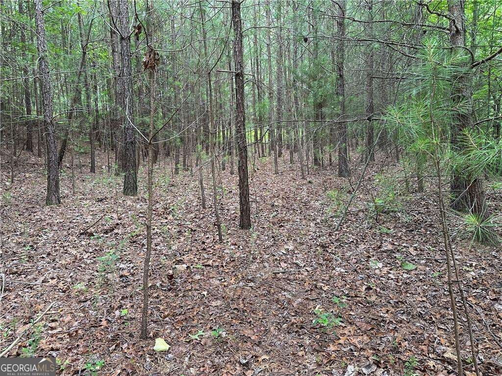 residential lot for sale at 585 Galaxy Way, Ranger, GA 30734 — photo 6