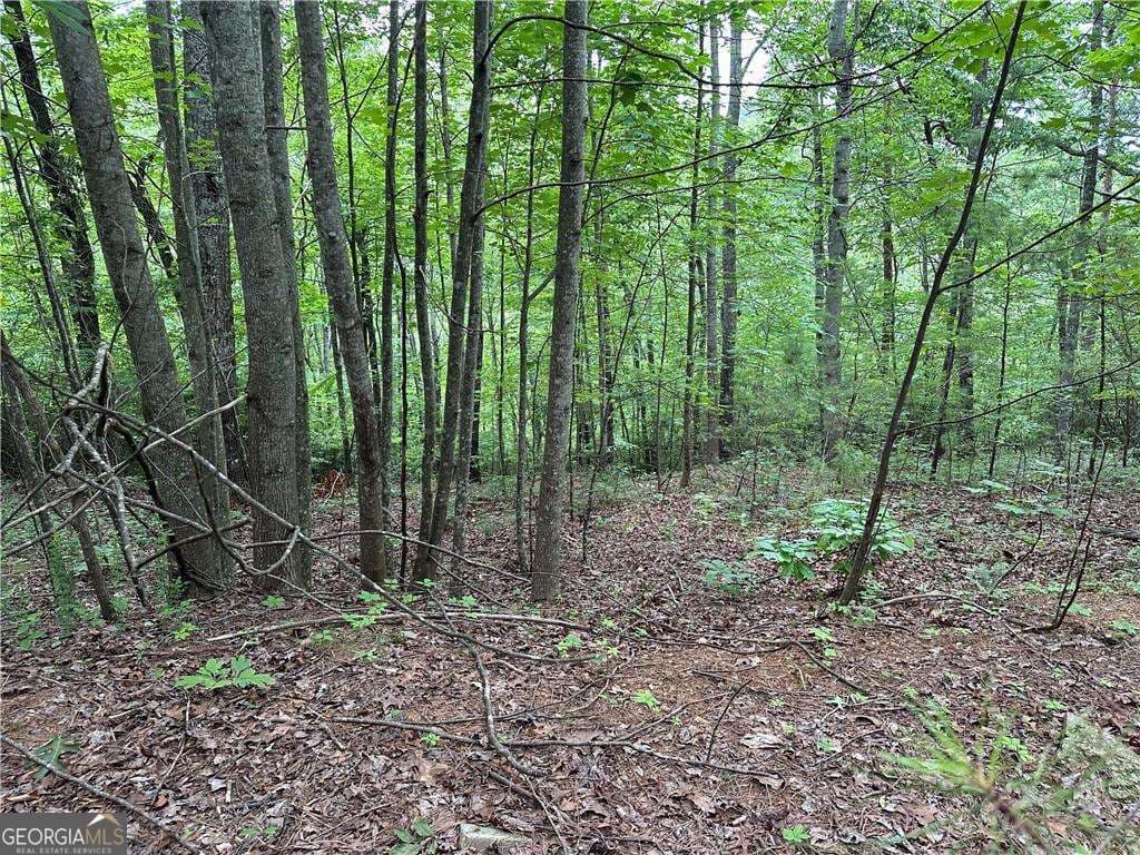 residential lot for sale at 585 Galaxy Way, Ranger, GA 30734 — photo 7