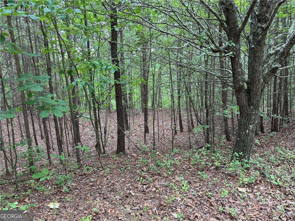 residential lot for sale at 585 Galaxy Way, Ranger, GA 30734 — photo 3
