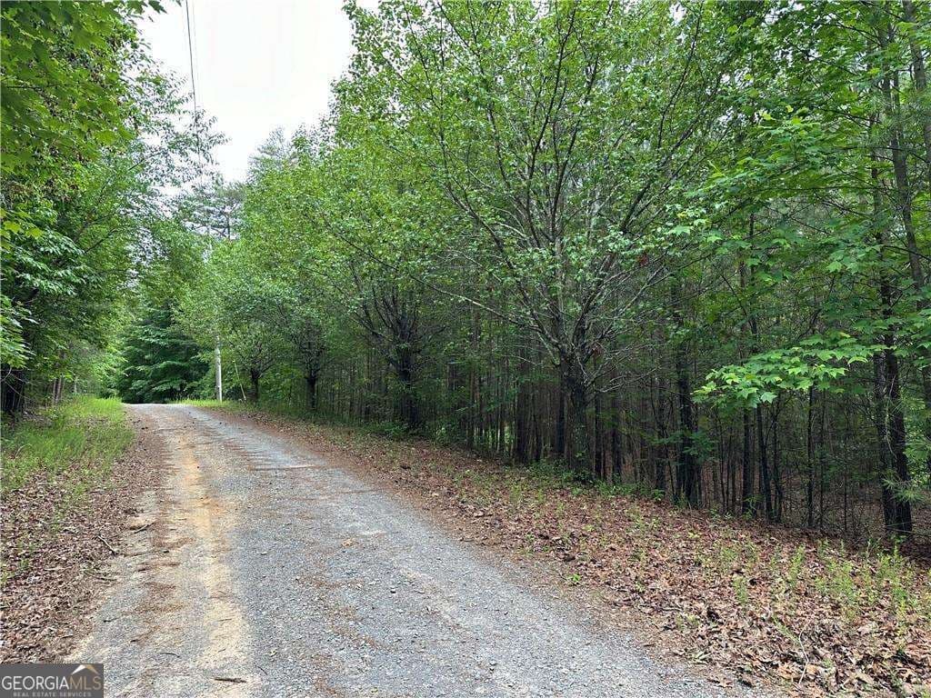 residential lot for sale at 585 Galaxy Way, Ranger, GA 30734 — photo 1 of 19
