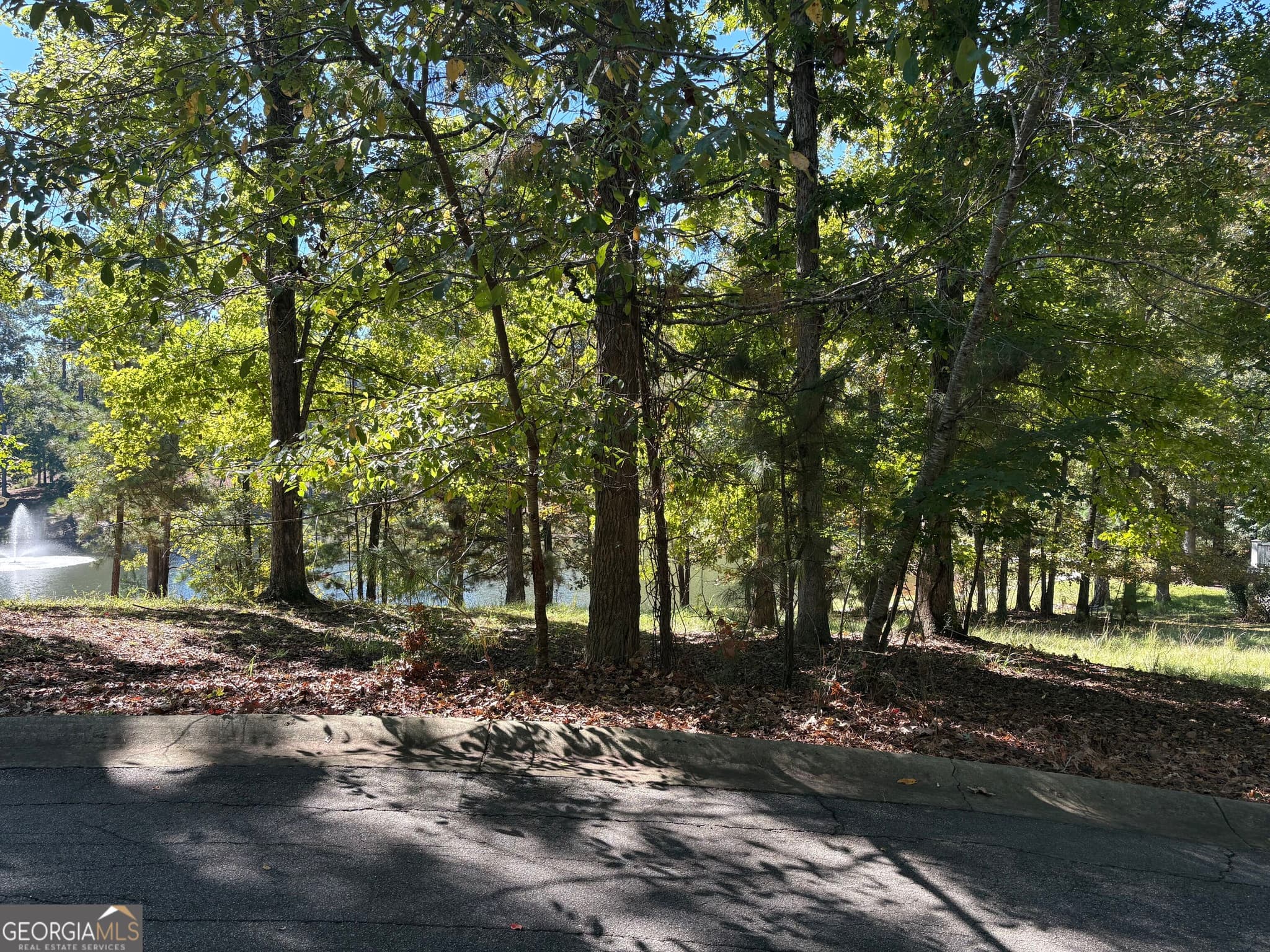 residential lot for sale at 1040 Mashie Drive, Greensboro, GA 30642 — photo 2