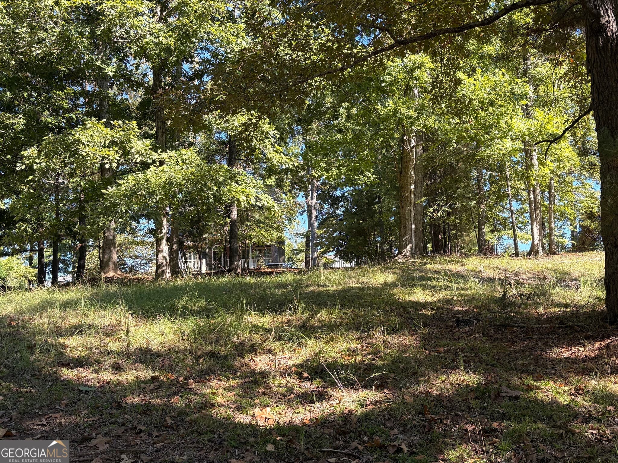 residential lot for sale at 1040 Mashie Drive, Greensboro, GA 30642 — photo 6