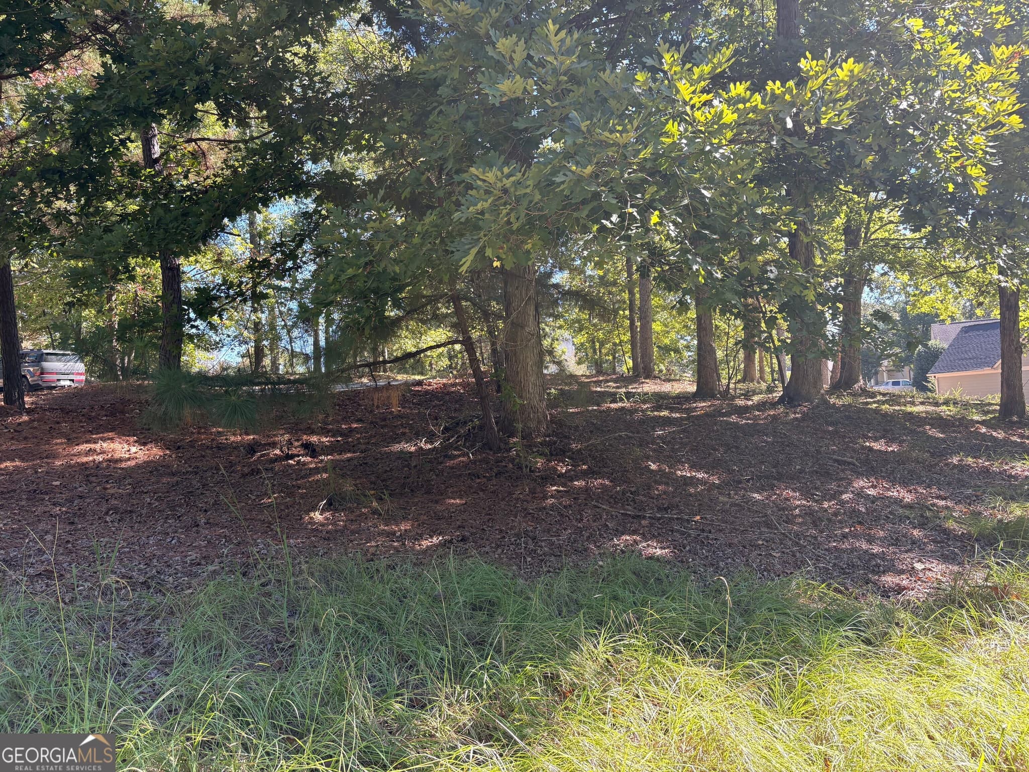 residential lot for sale at 1040 Mashie Drive, Greensboro, GA 30642 — photo 7