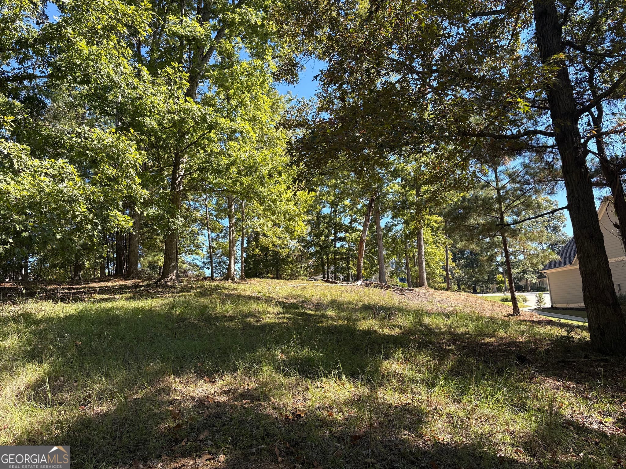residential lot for sale at 1040 Mashie Drive, Greensboro, GA 30642 — photo 5
