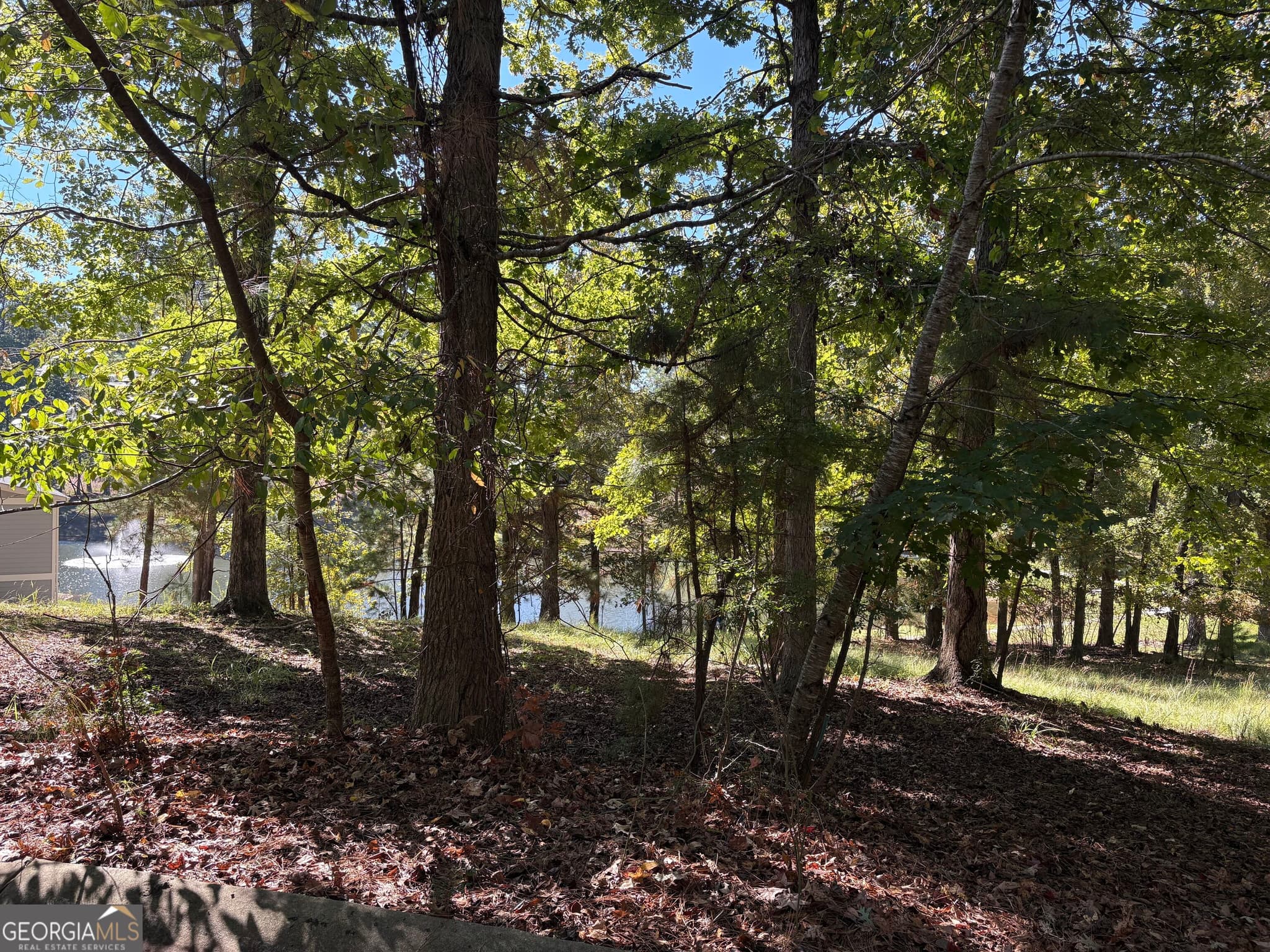 residential lot for sale at 1040 Mashie Drive, Greensboro, GA 30642 — photo 9