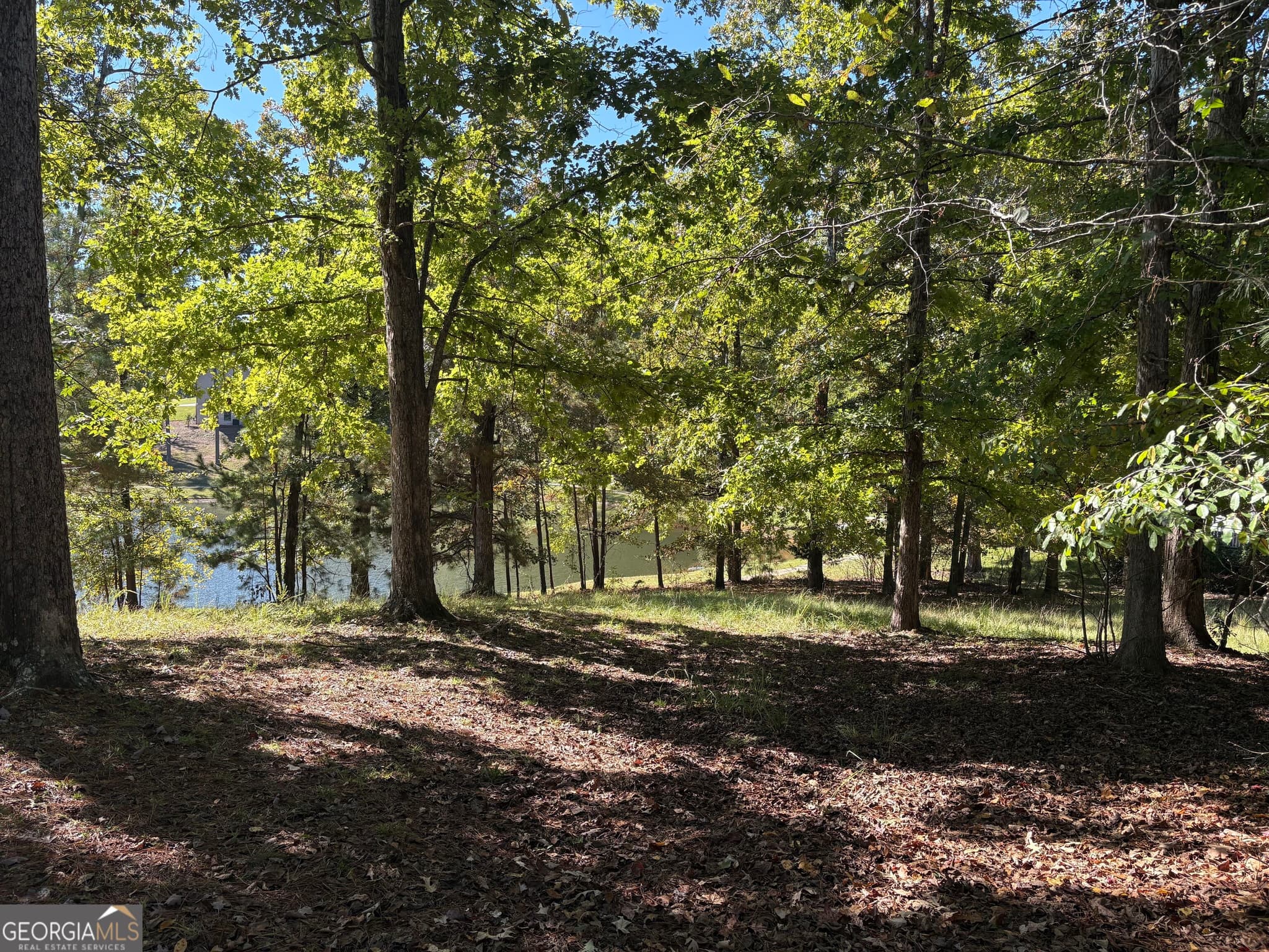 residential lot for sale at 1040 Mashie Drive, Greensboro, GA 30642 — photo 10