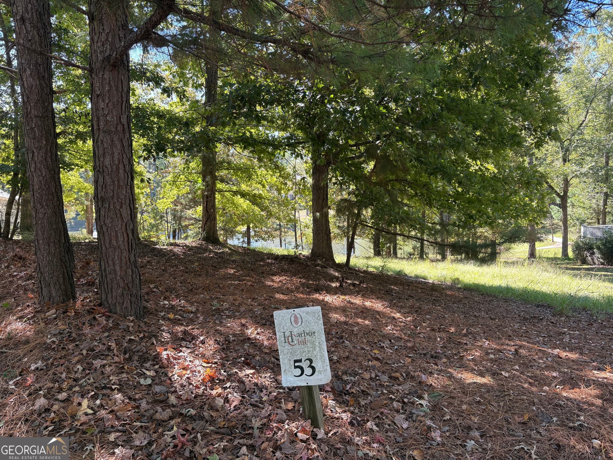residential lot for sale at 1040 Mashie Drive, Greensboro, GA 30642 — photo 4