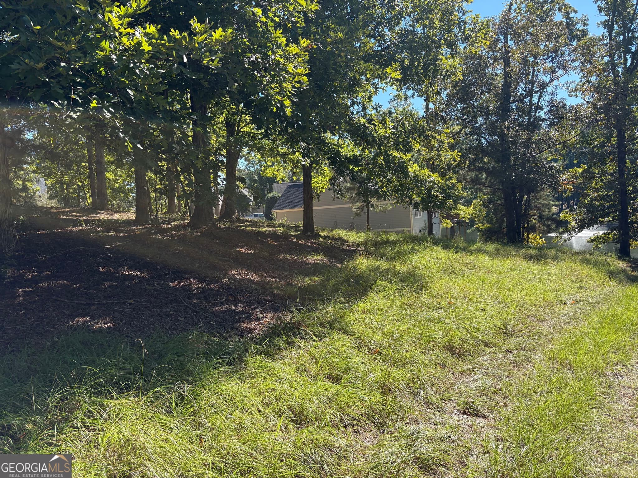 residential lot for sale at 1040 Mashie Drive, Greensboro, GA 30642 — photo 8
