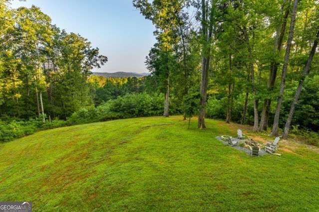 4 bedroom, 3.5 bathroom, 3,594 sq ft cabin,single family residence for sale at 34 Highland Forest Trail, Morganton, GA 30560 — photo 8