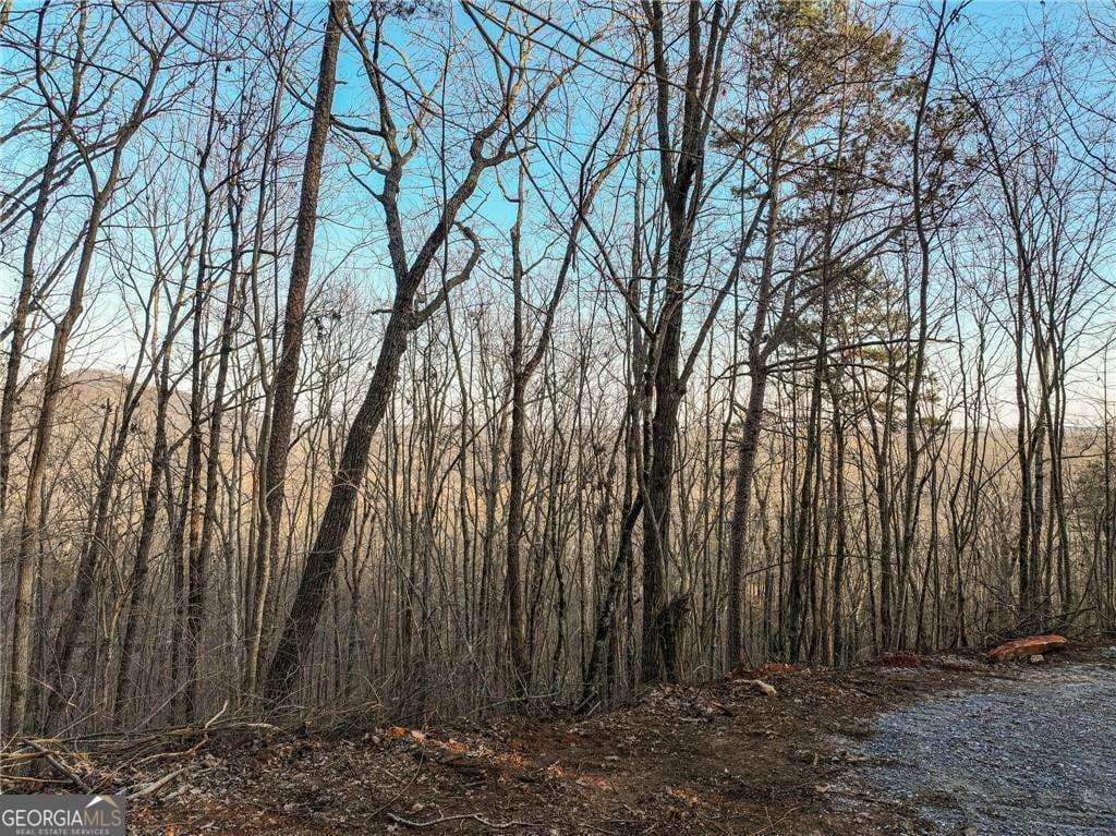 residential lot for sale at LOT 7 Mount Mincie Road, Murrayville, GA 30564 — photo 2