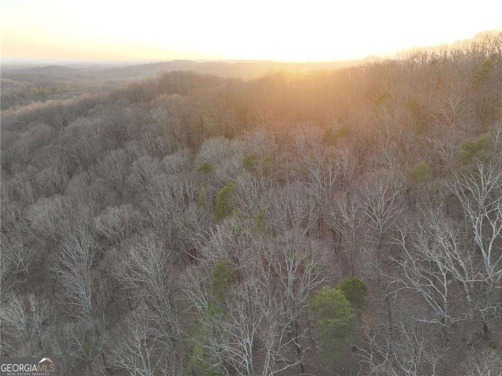 residential lot for sale at LOT 7 Mount Mincie Road, Murrayville, GA 30564 — photo 3