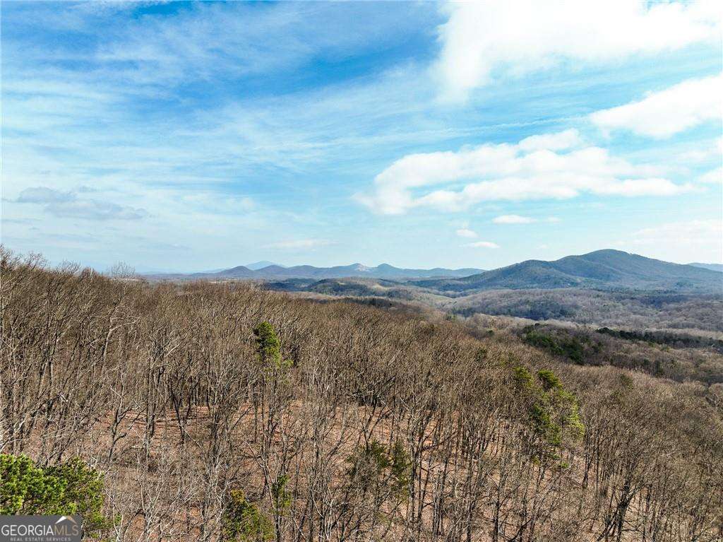 residential lot for sale at LOT 7 Mount Mincie Road, Murrayville, GA 30564 — photo 5