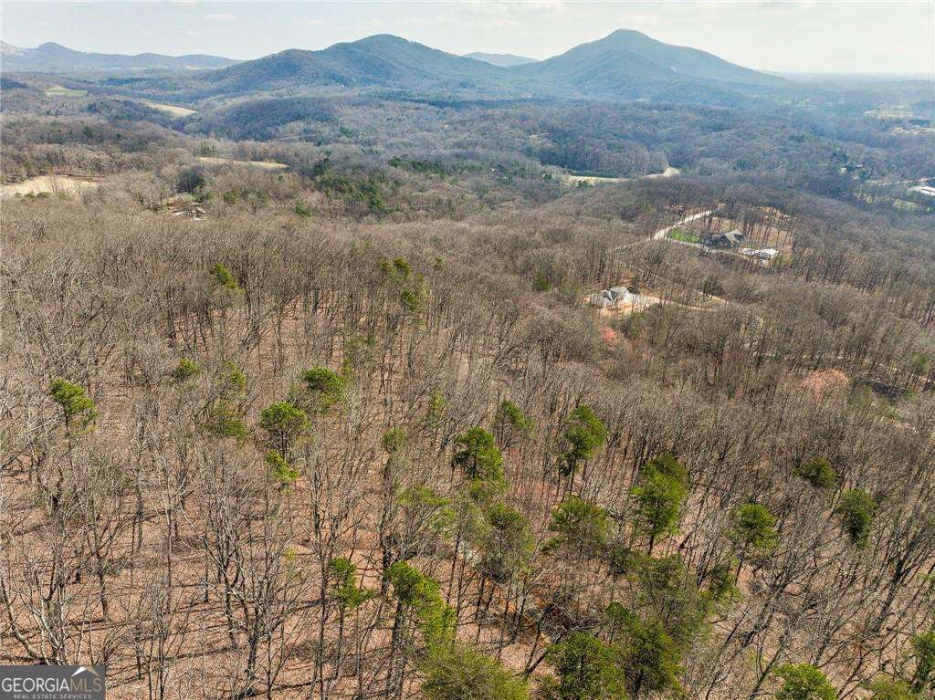 residential lot for sale at LOT 7 Mount Mincie Road, Murrayville, GA 30564 — photo 9