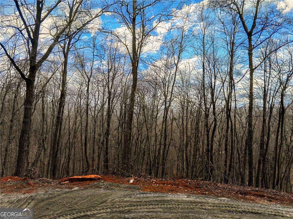 residential lot for sale at LOT 7 Mount Mincie Road, Murrayville, GA 30564 — photo 10