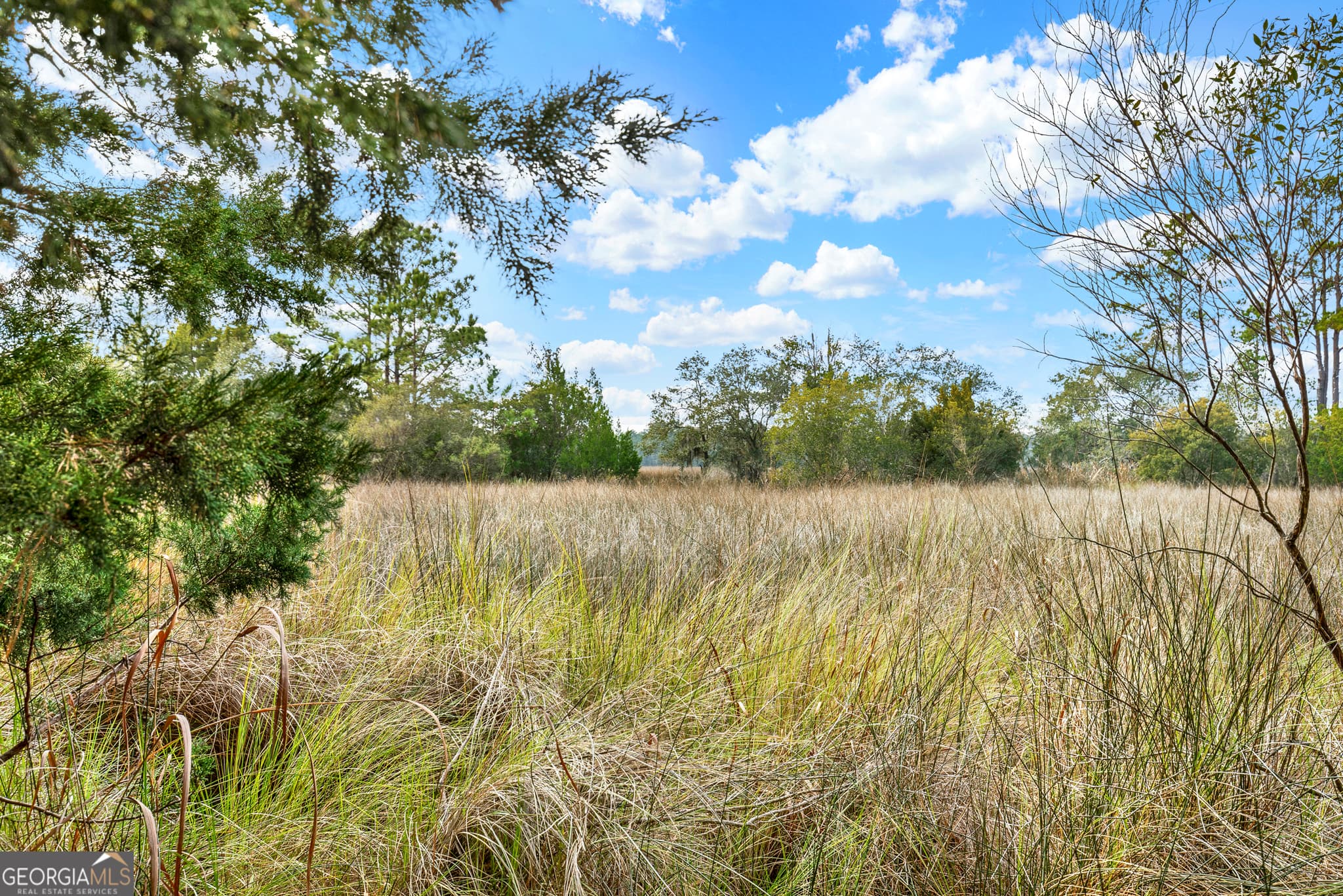residential lot for sale at 187 Burton Road, Savannah, GA 31405 — photo 2