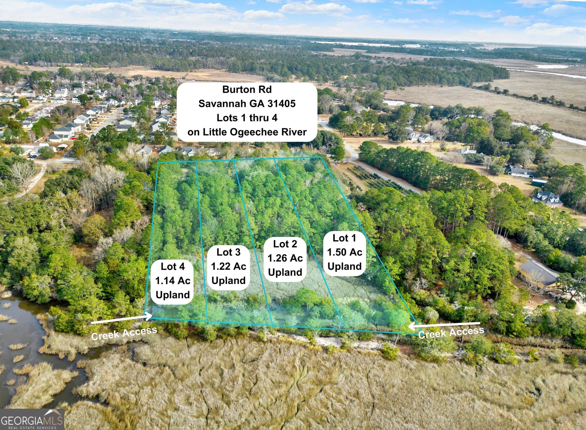 residential lot for sale at 187 Burton Road, Savannah, GA 31405 — photo 6