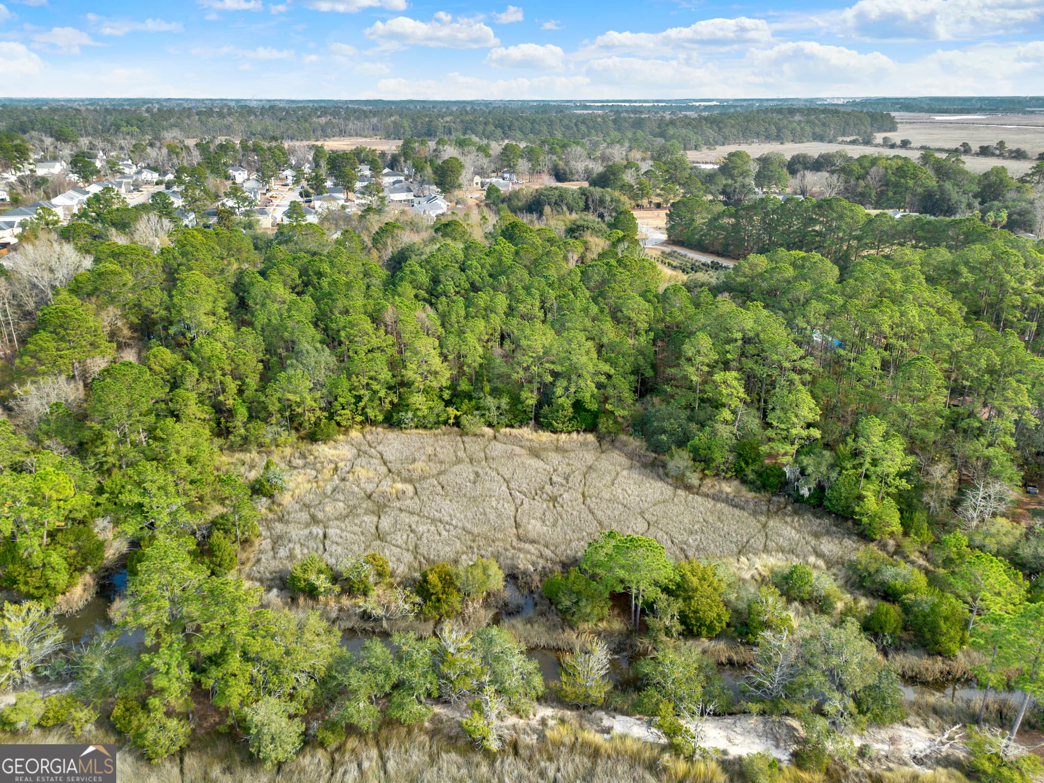 residential lot for sale at 187 Burton Road, Savannah, GA 31405 — photo 7