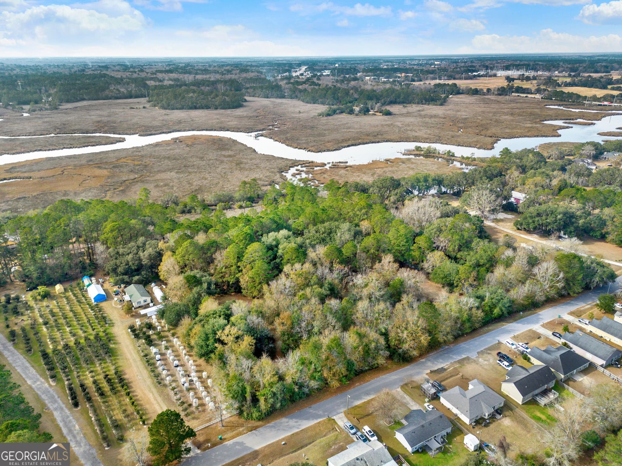residential lot for sale at 187 Burton Road, Savannah, GA 31405 — photo 5