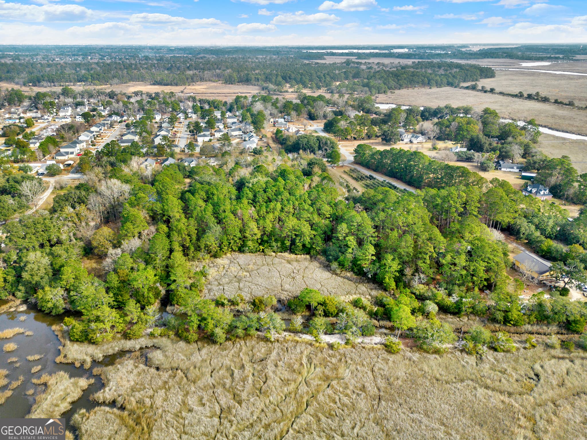 residential lot for sale at 187 Burton Road, Savannah, GA 31405 — photo 8