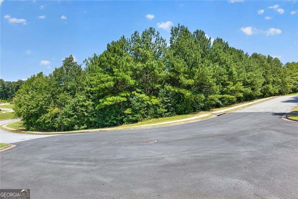 unimproved land for sale at 1179 Woodtrace Lane 44, Auburn, GA 30011 — photo 2