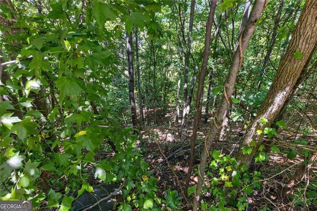 unimproved land for sale at 1179 Woodtrace Lane 44, Auburn, GA 30011 — photo 7