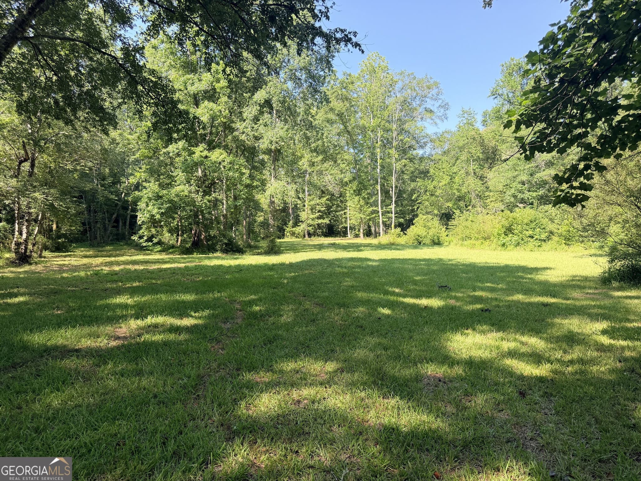 residential lot for sale at 4 County Road 244, Wedowee, AL 36278 — photo 10