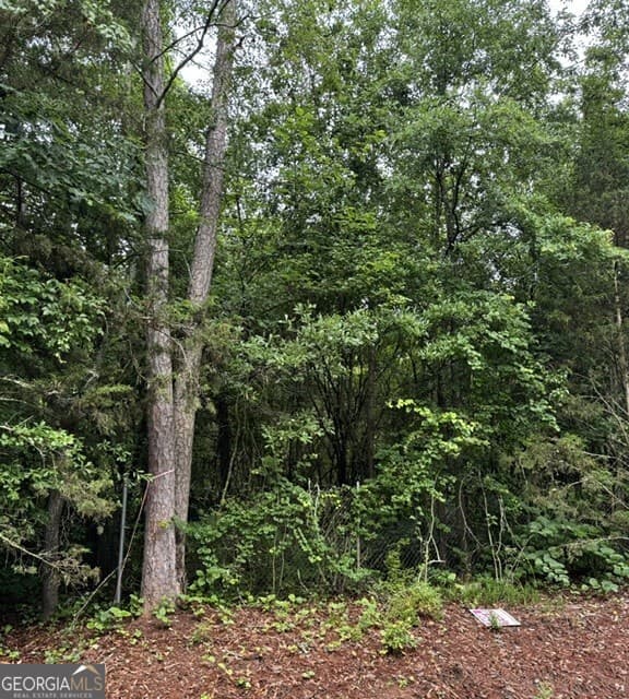 residential lot for sale at 0 Lewis Drive LOT 17, Lavonia, GA 30553 — photo 1 of 3