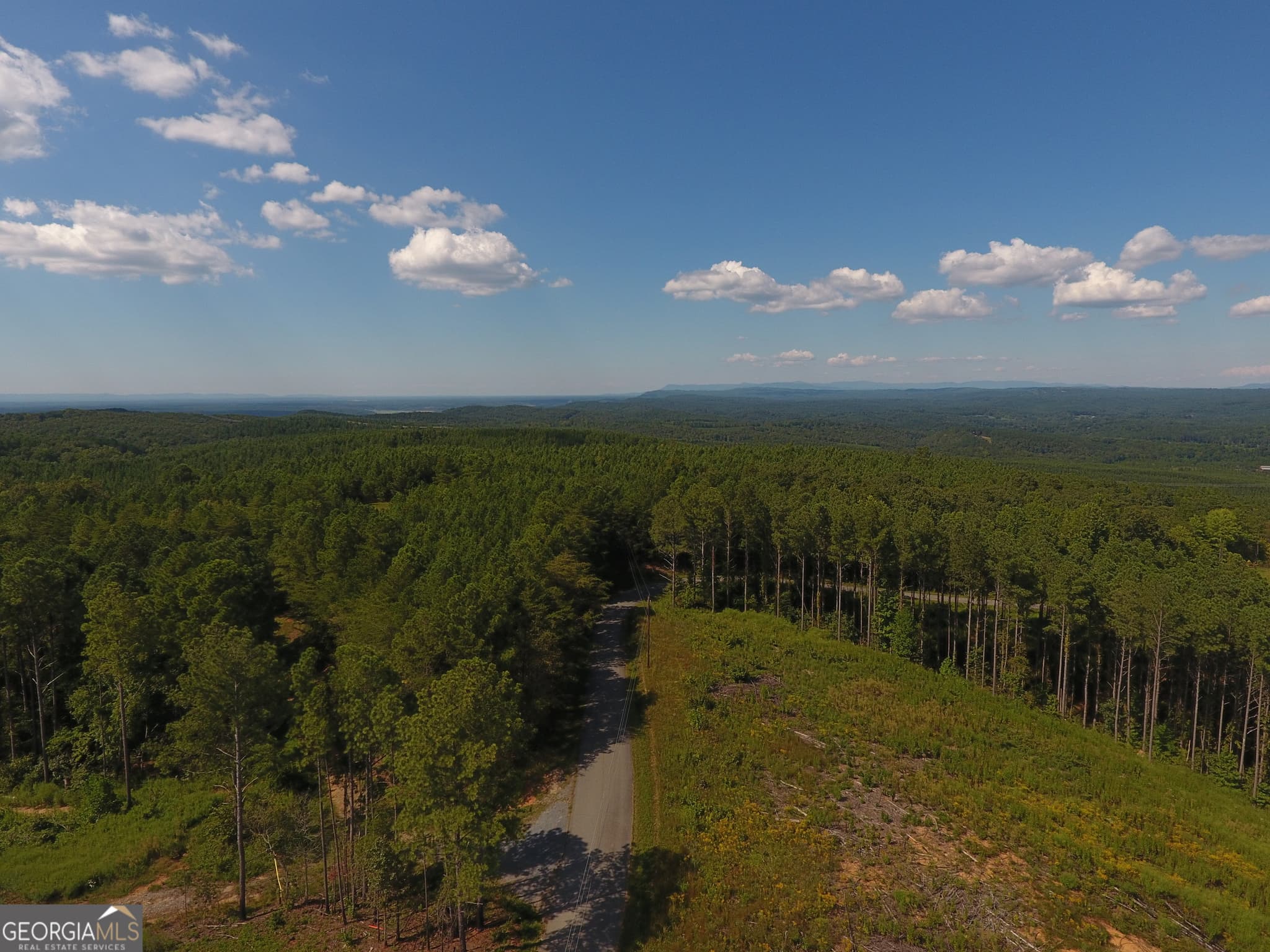 unimproved land for sale at 0 Johnson Mountain Road 7401-M, Rydal, GA 30171 — photo 3