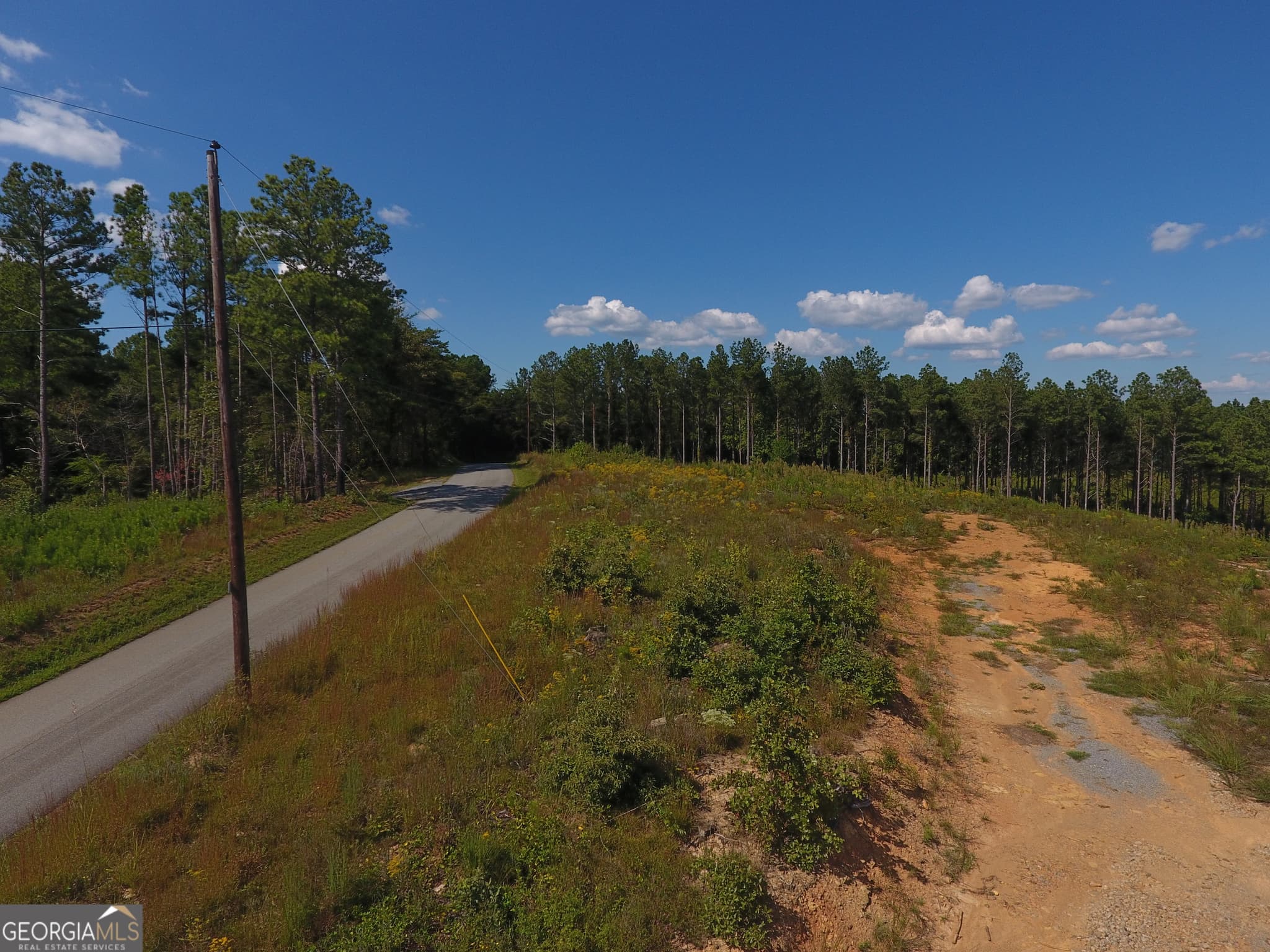 unimproved land for sale at 0 Johnson Mountain Road 7401-M, Rydal, GA 30171 — photo 5