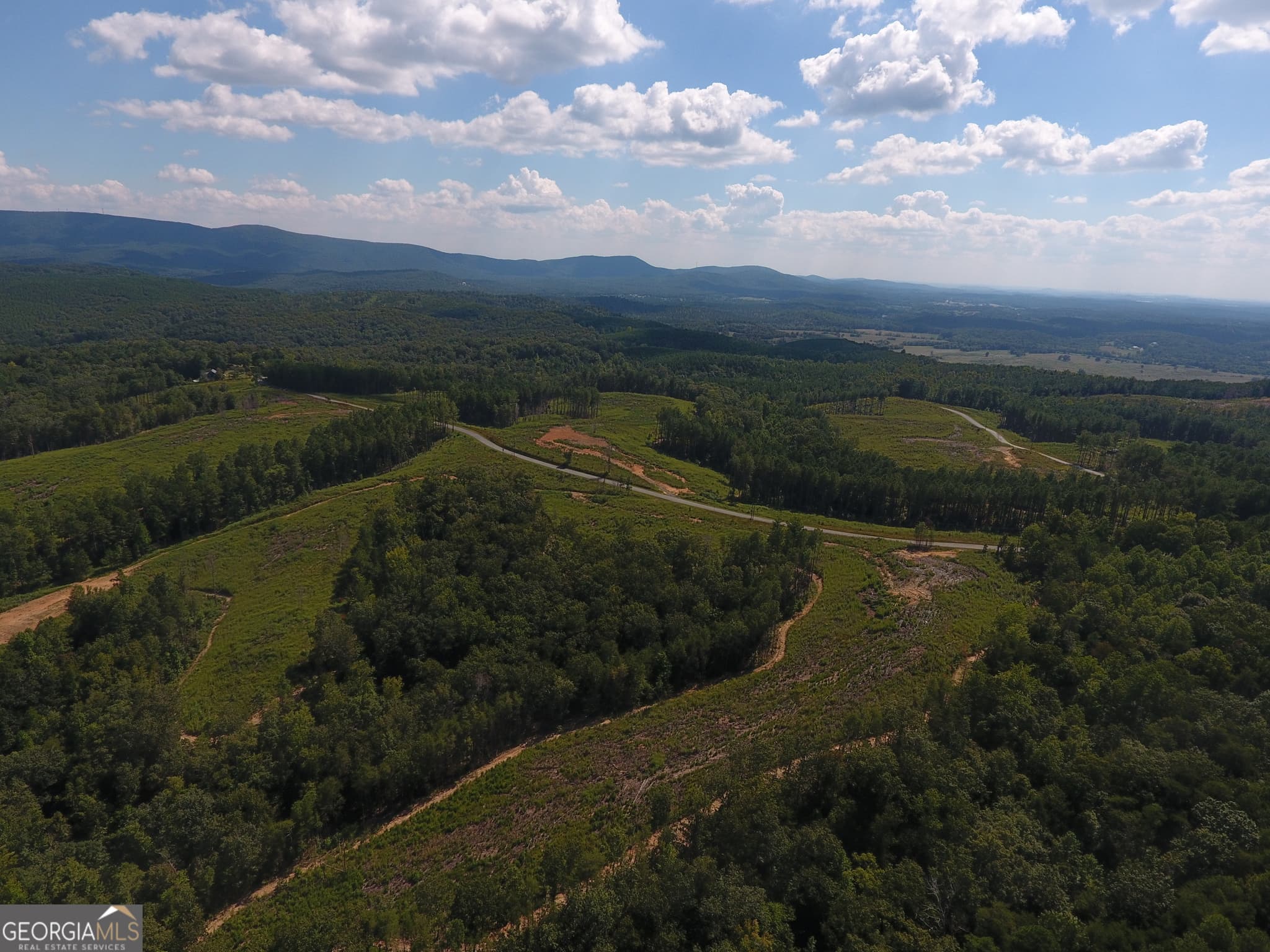 unimproved land for sale at 0 Johnson Mountain Road 7401-M, Rydal, GA 30171 — photo 9