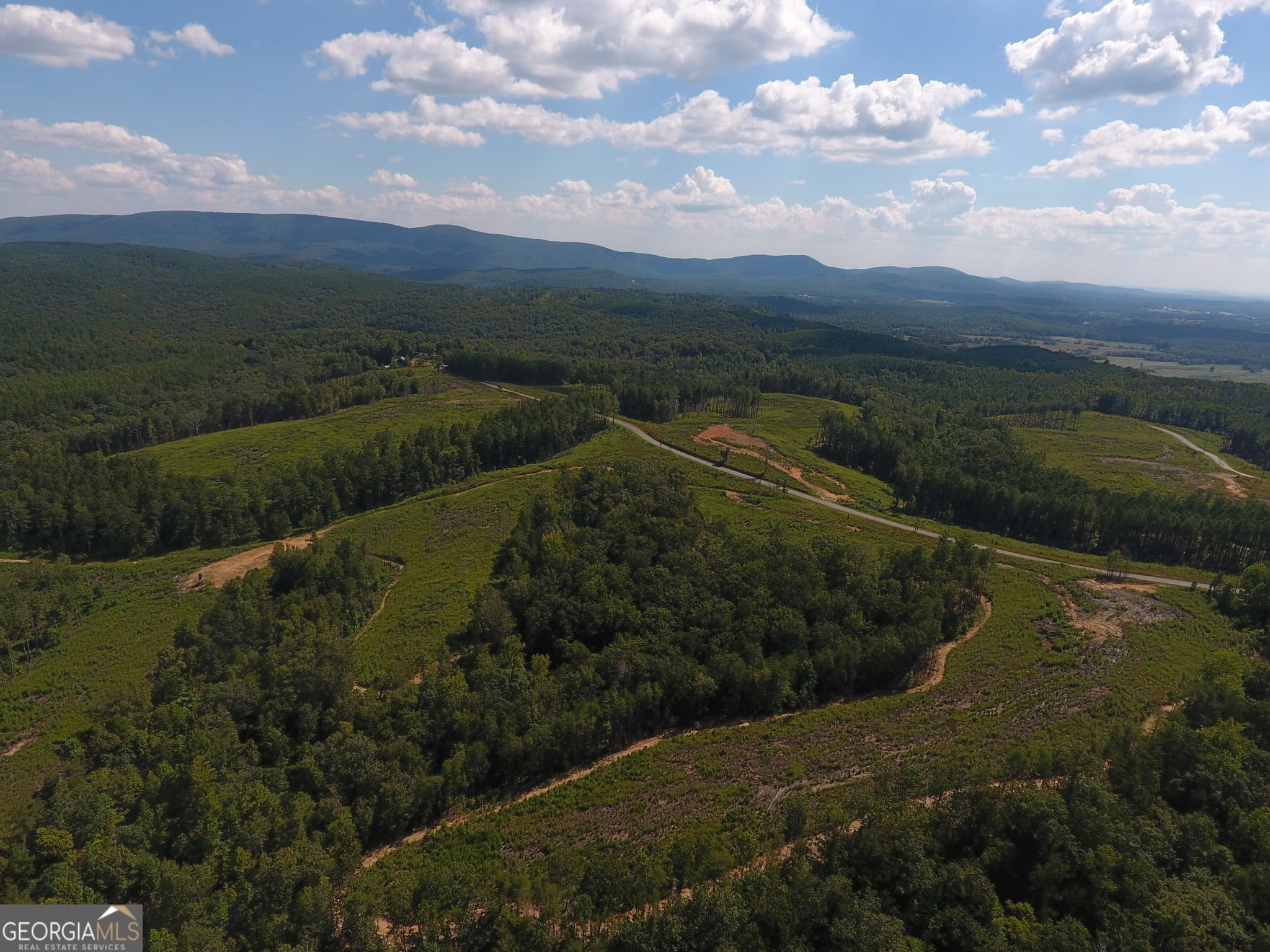 unimproved land for sale at 0 Johnson Mountain Road 7401-M, Rydal, GA 30171 — photo 10