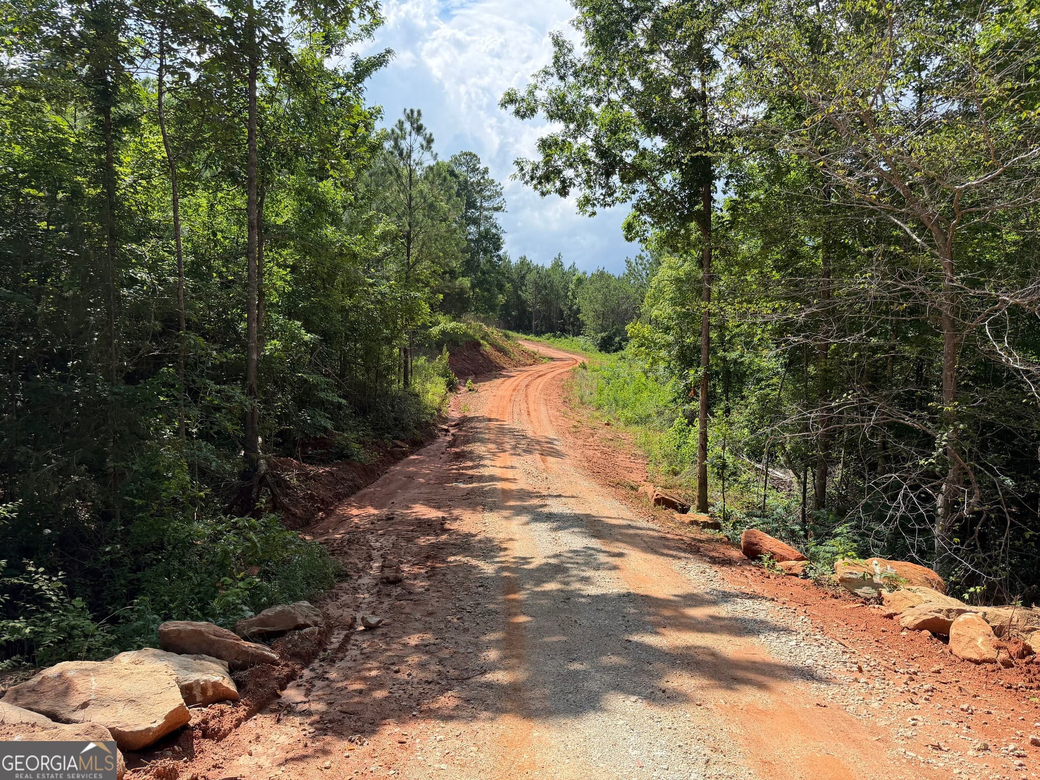 estate lot for sale at +/- 190 AC Bevis Road, Franklin, GA 30217 — photo 6