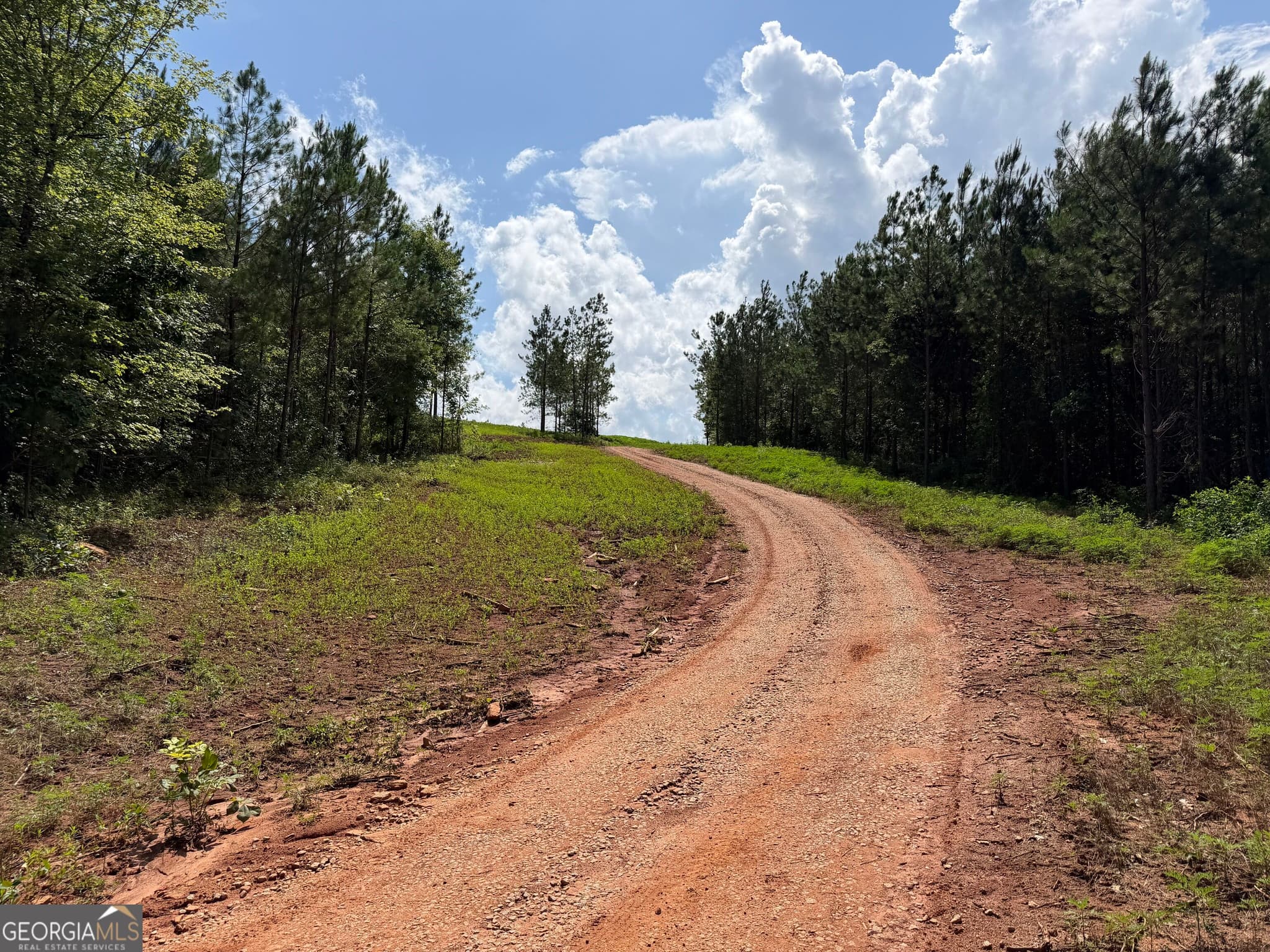 estate lot for sale at +/- 190 AC Bevis Road, Franklin, GA 30217 — photo 7