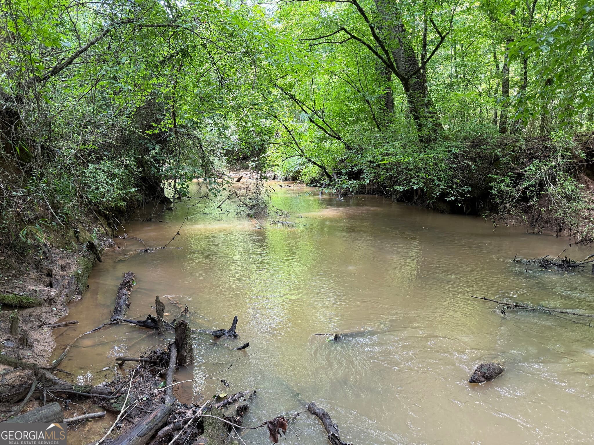 estate lot for sale at +/- 190 AC Bevis Road, Franklin, GA 30217 — photo 3