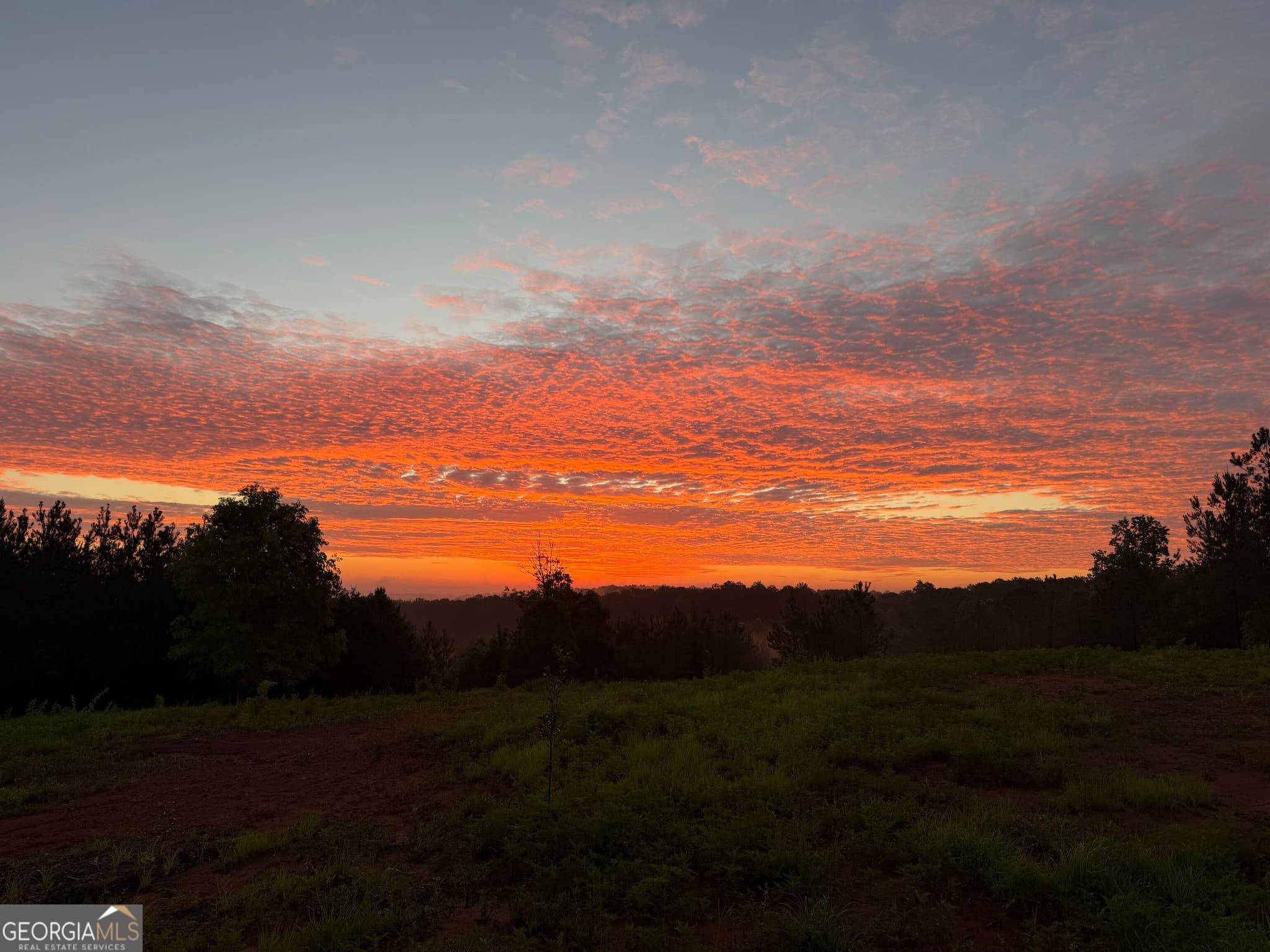 estate lot for sale at +/- 190 AC Bevis Road, Franklin, GA 30217 — photo 1 of 34