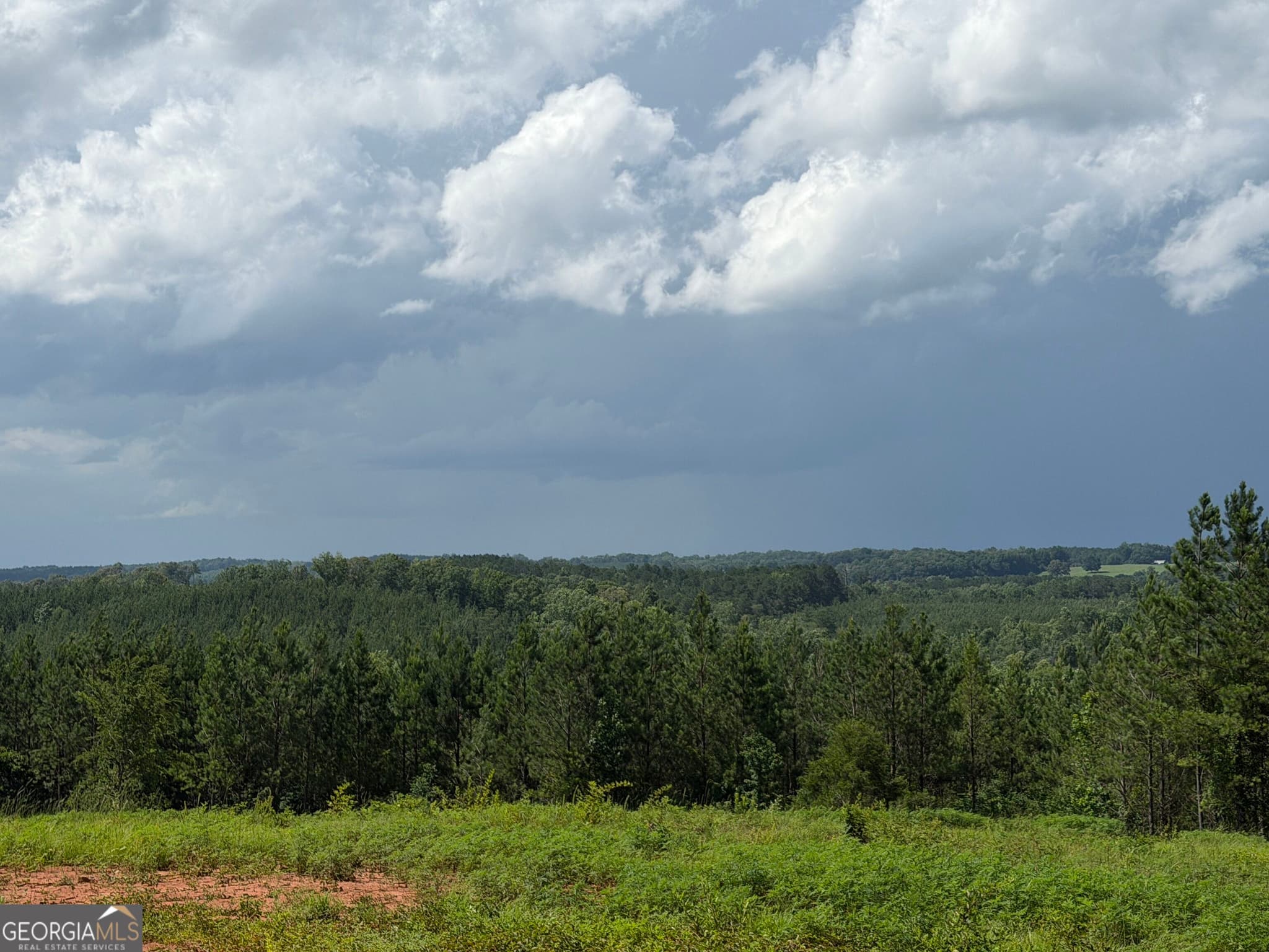 estate lot for sale at +/- 190 AC Bevis Road, Franklin, GA 30217 — photo 9