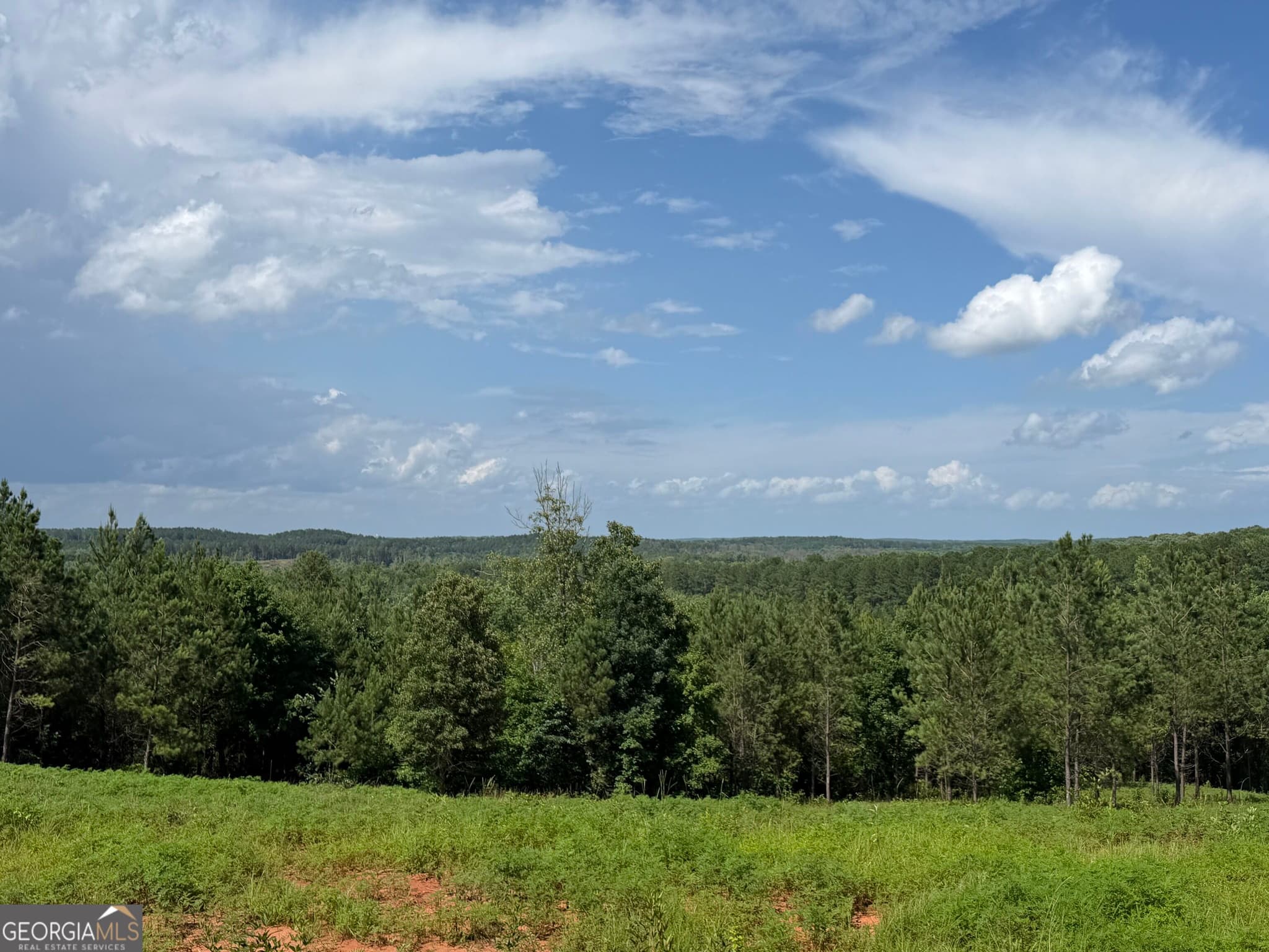 estate lot for sale at +/- 190 AC Bevis Road, Franklin, GA 30217 — photo 10
