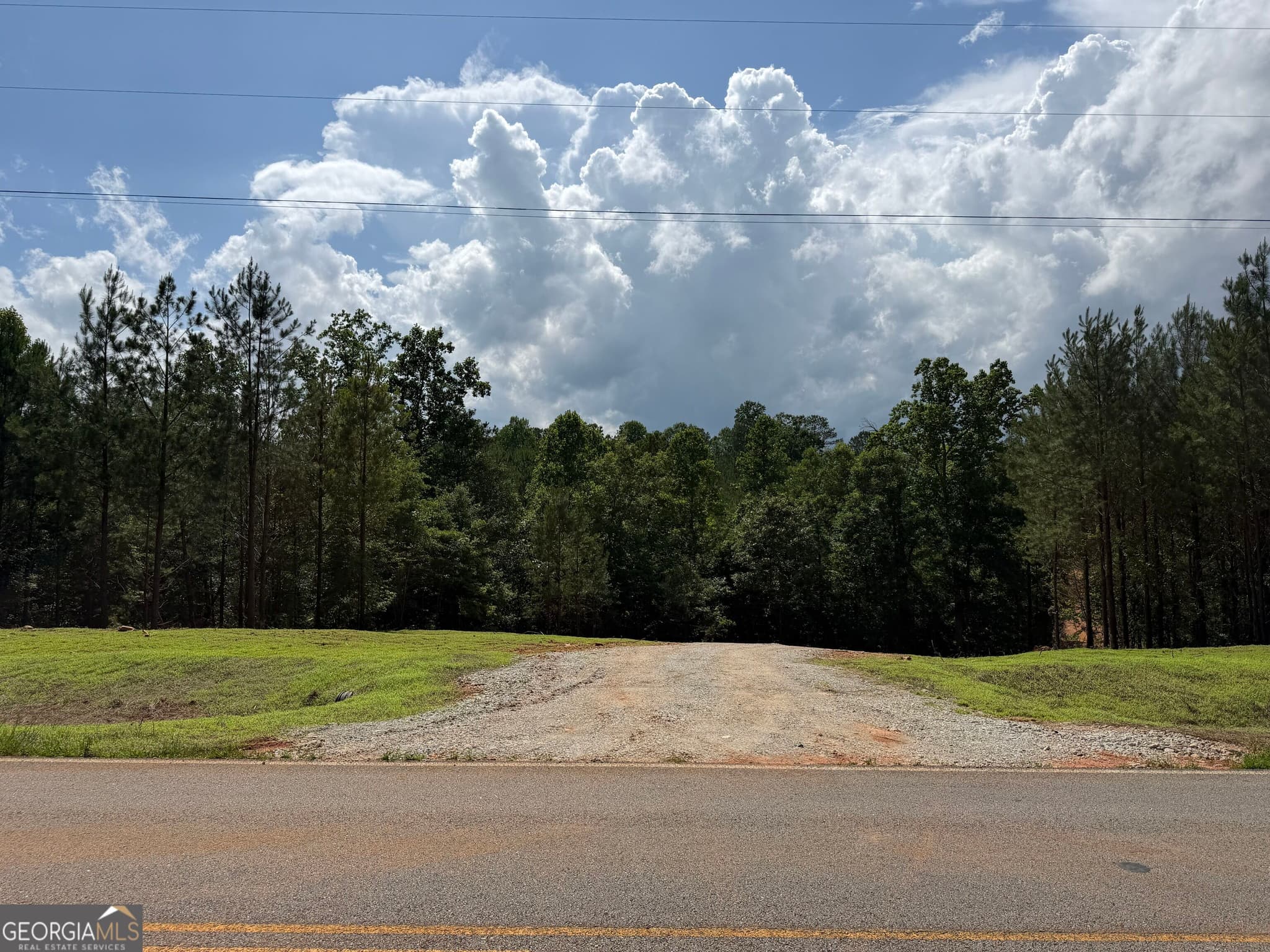 estate lot for sale at +/- 190 AC Bevis Road, Franklin, GA 30217 — photo 4