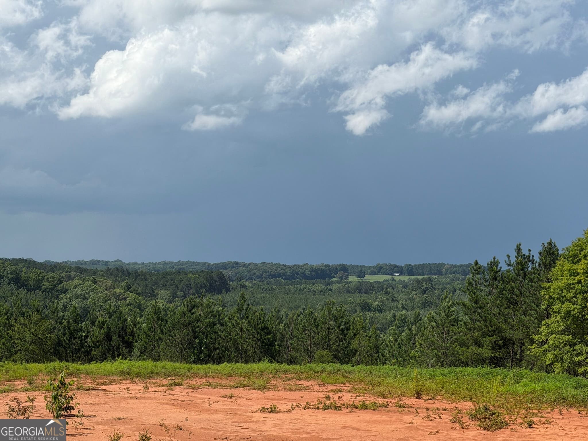 estate lot for sale at +/- 190 AC Bevis Road, Franklin, GA 30217 — photo 8