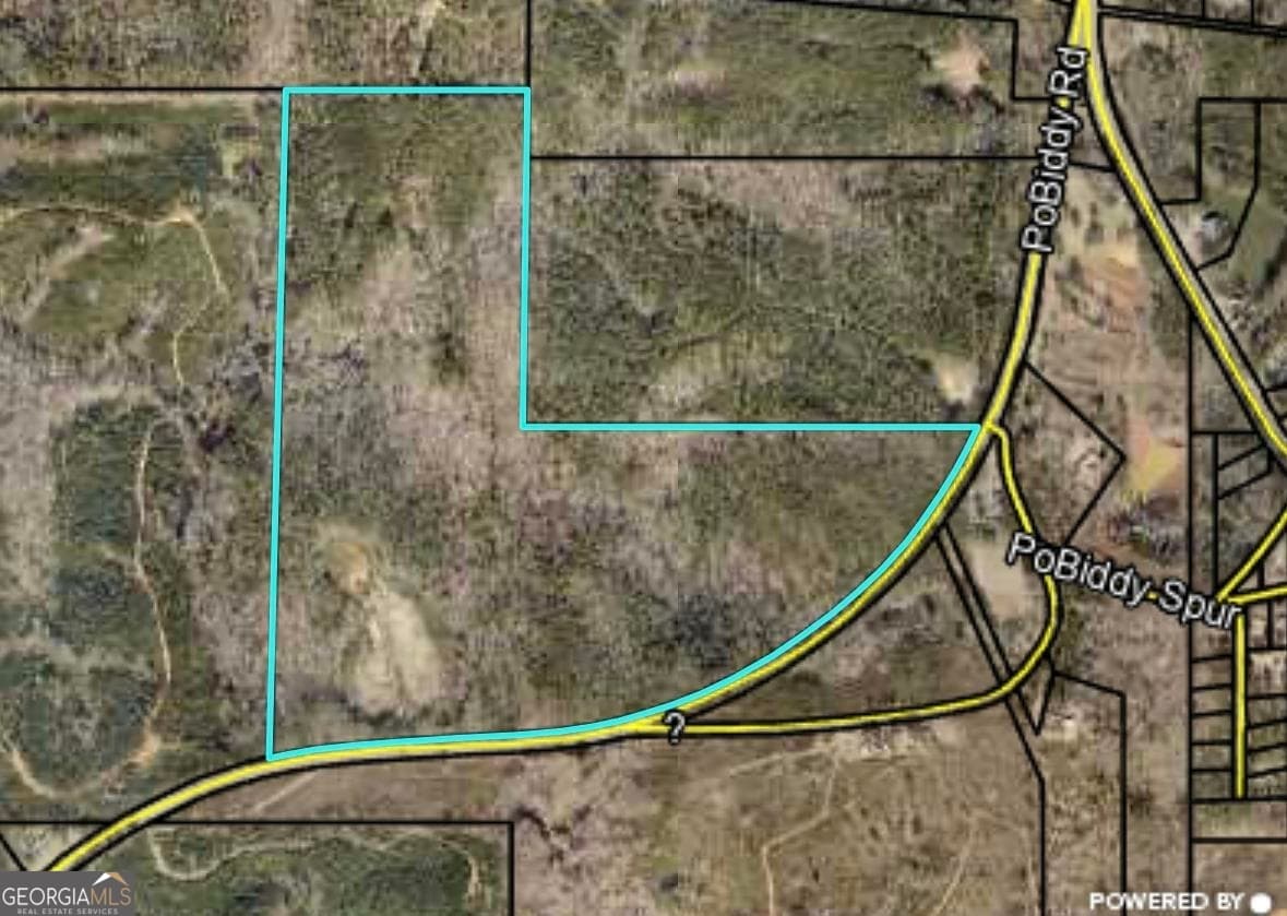 unimproved land for sale at 40 ACRES Pobiddy Road, Thomaston, GA 30286 — photo 2