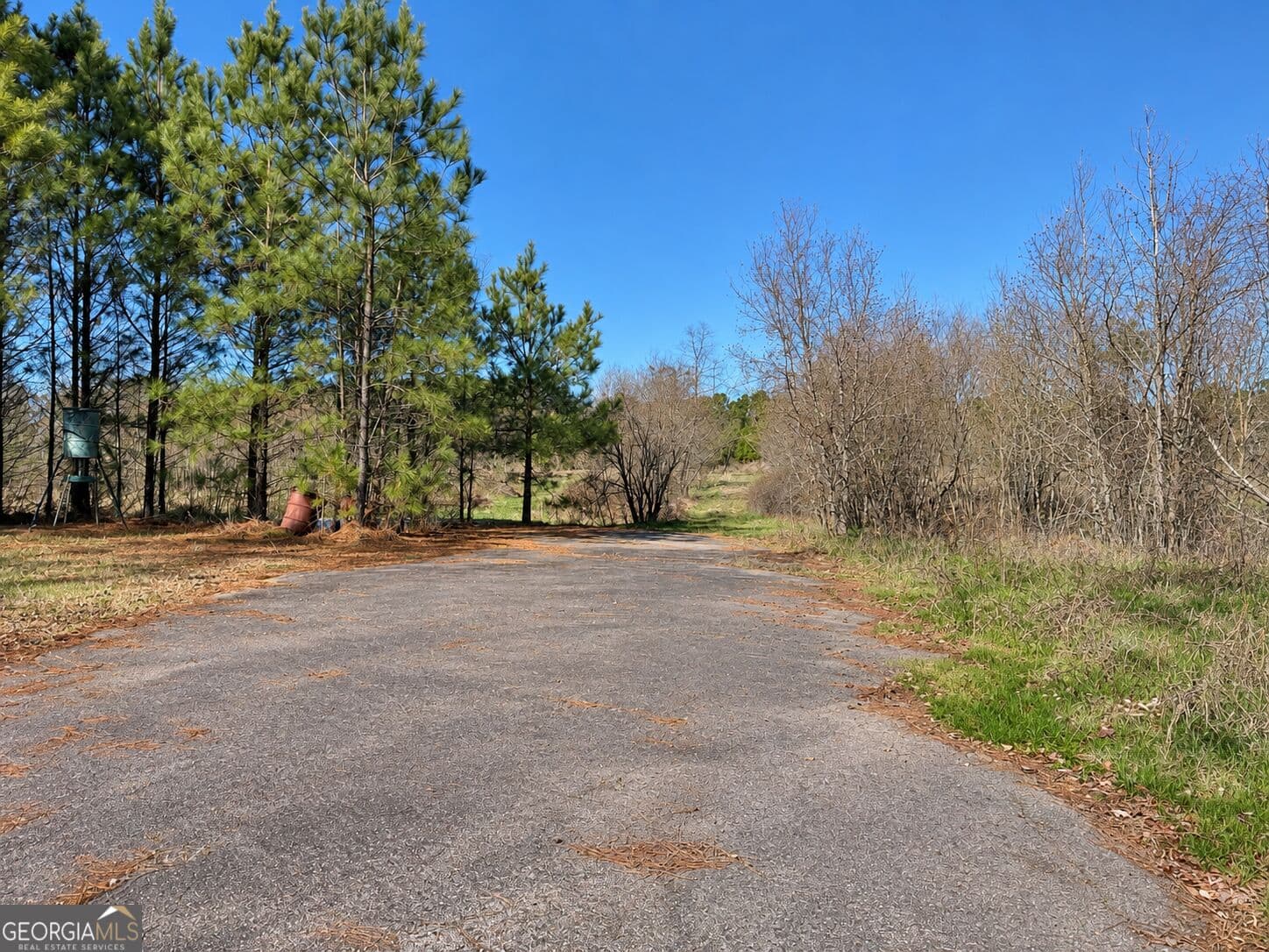unimproved land for sale at 40 ACRES Pobiddy Road, Thomaston, GA 30286 — photo 6