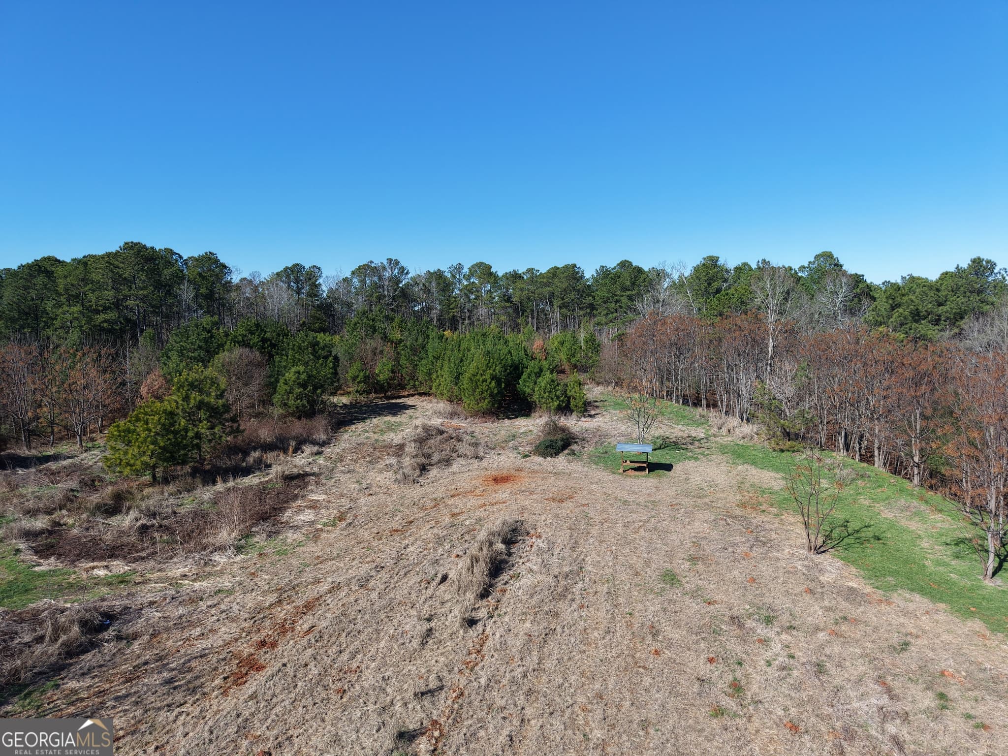 unimproved land for sale at 40 ACRES Pobiddy Road, Thomaston, GA 30286 — photo 7